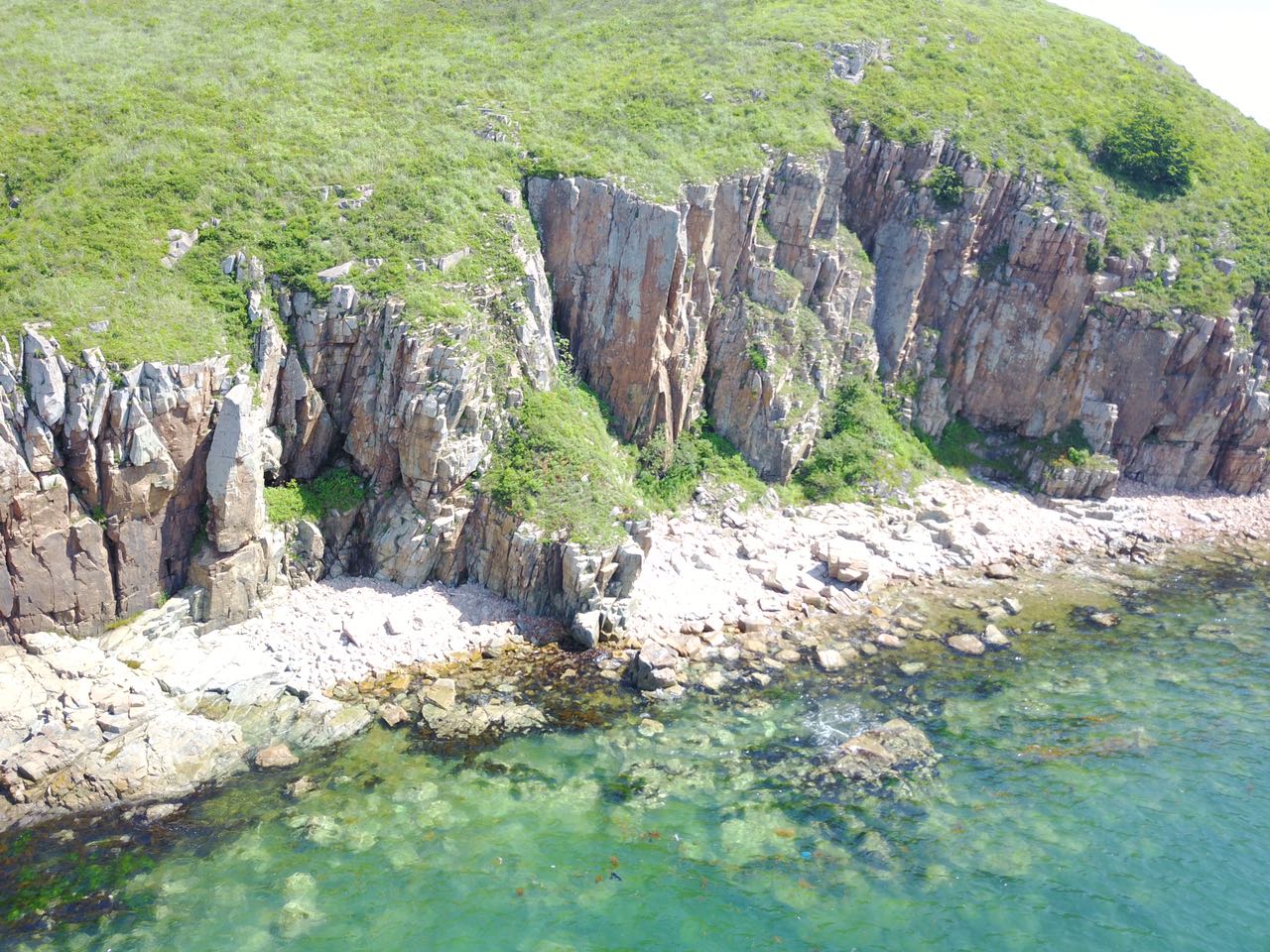 Приморский микс (лето) (10/15)