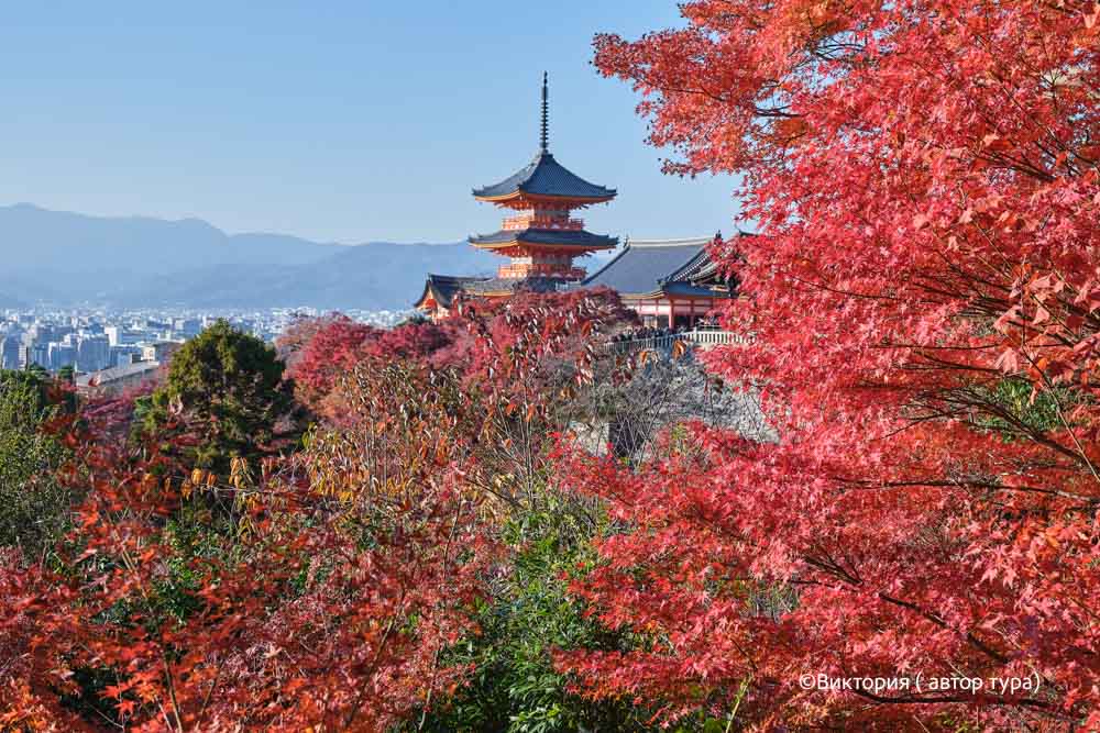 Япония: Погружение в историю и культуру самураев