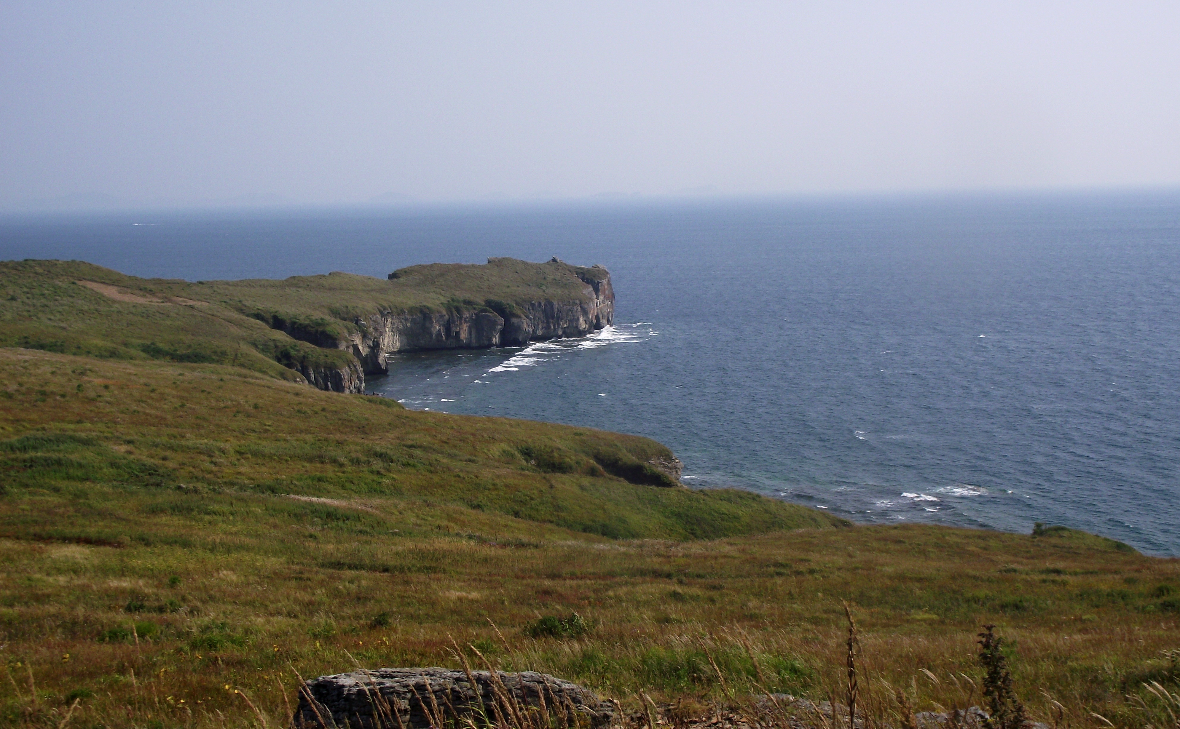 Приморский микс (лето) (15/15)