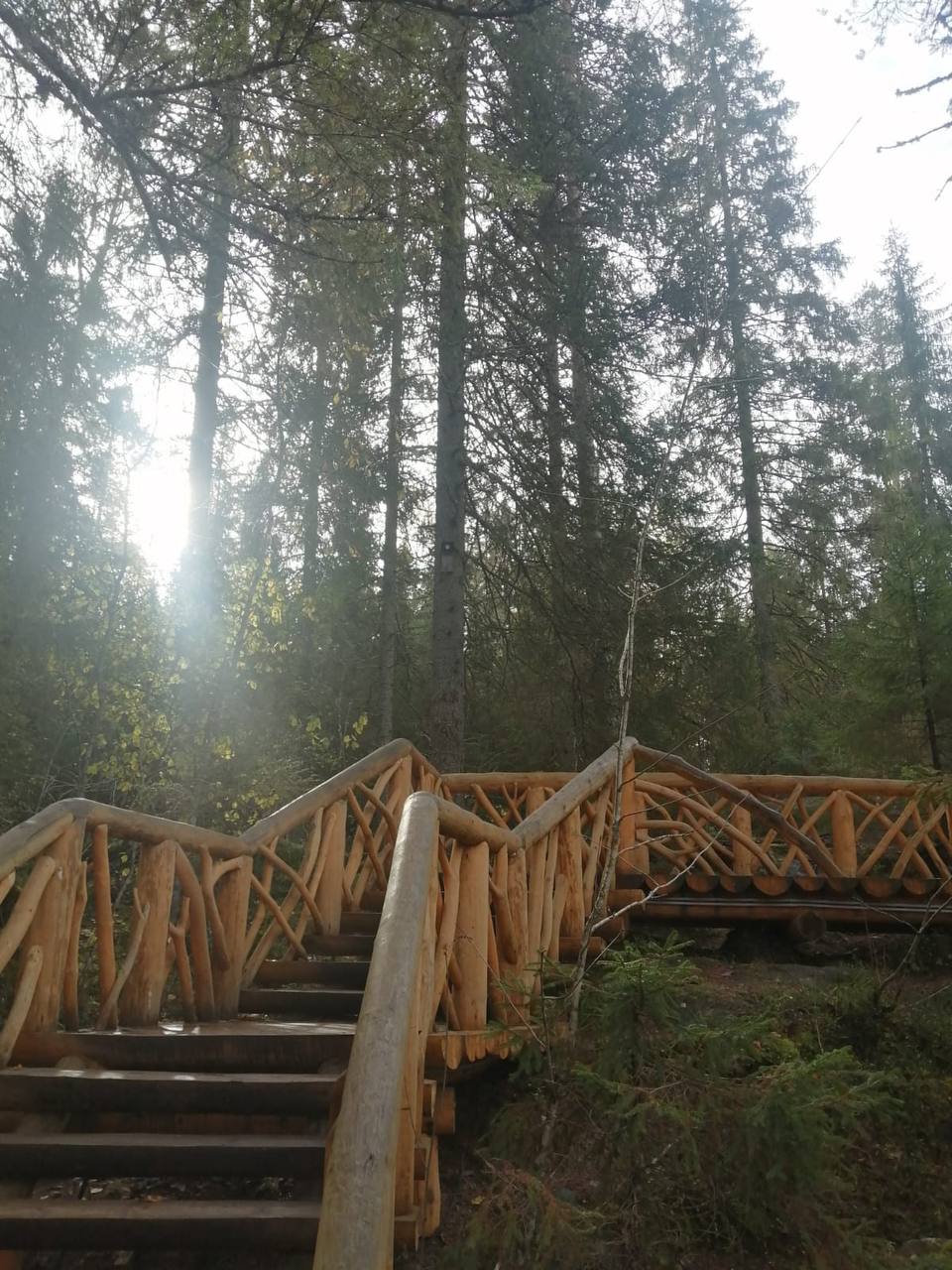 Мужская Карелия. Приватный комфорт тур: воздушный шар, рыбалка, баня, ретропоезд (17/35)