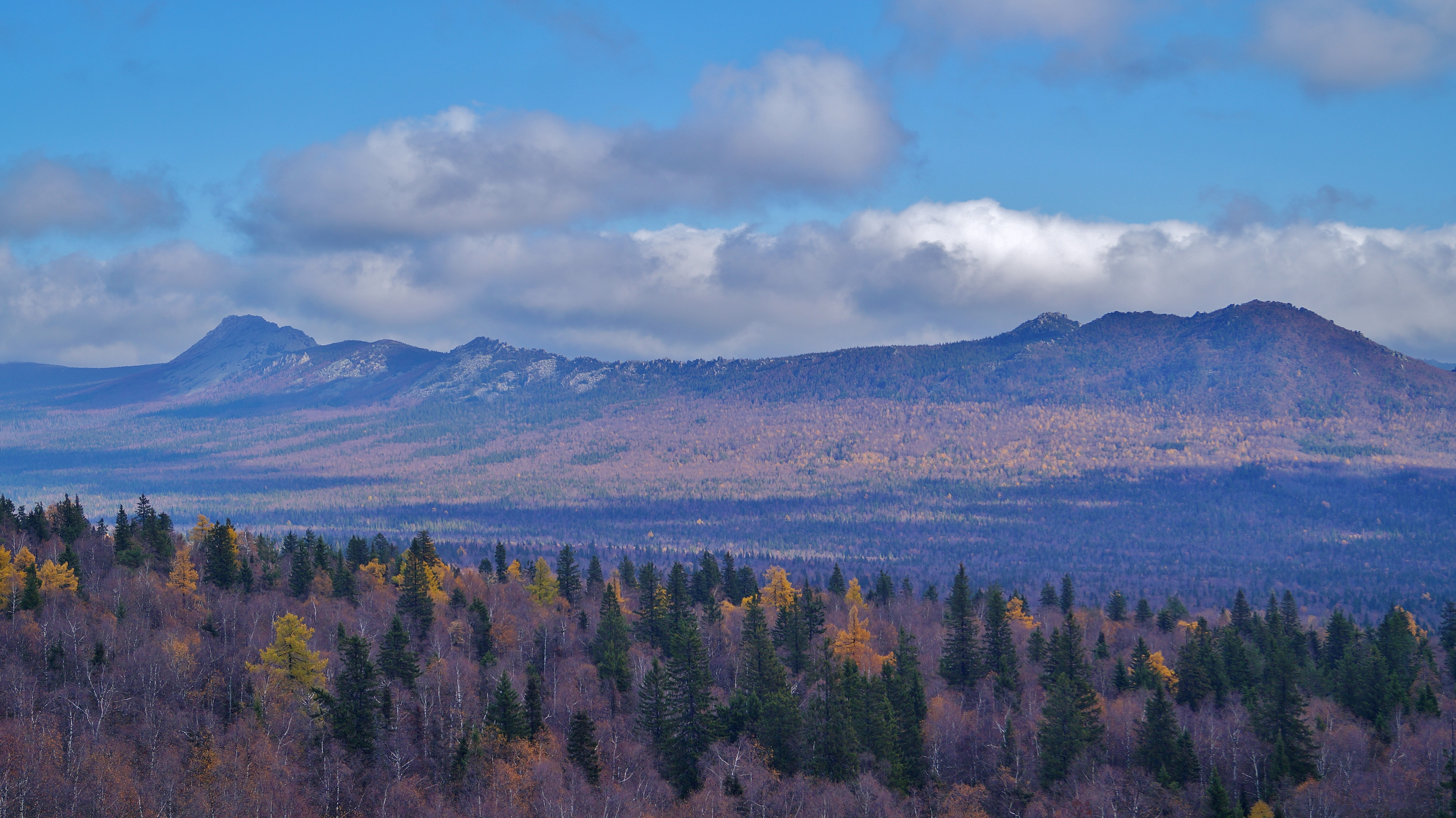 Урал заповедный (5/24)