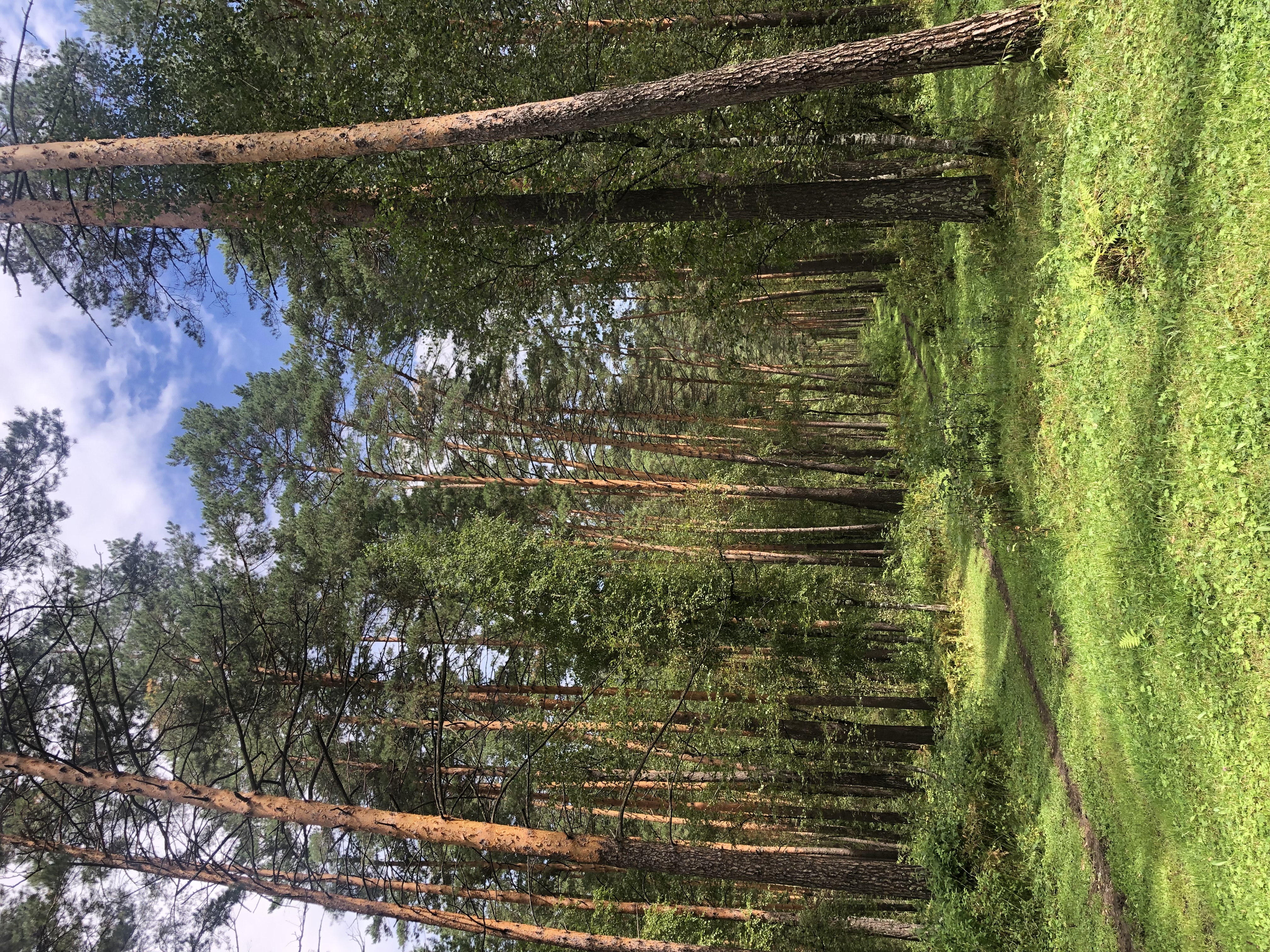 Ты Любовь - Алтайское Путешествие Со Смыслом (106/142)