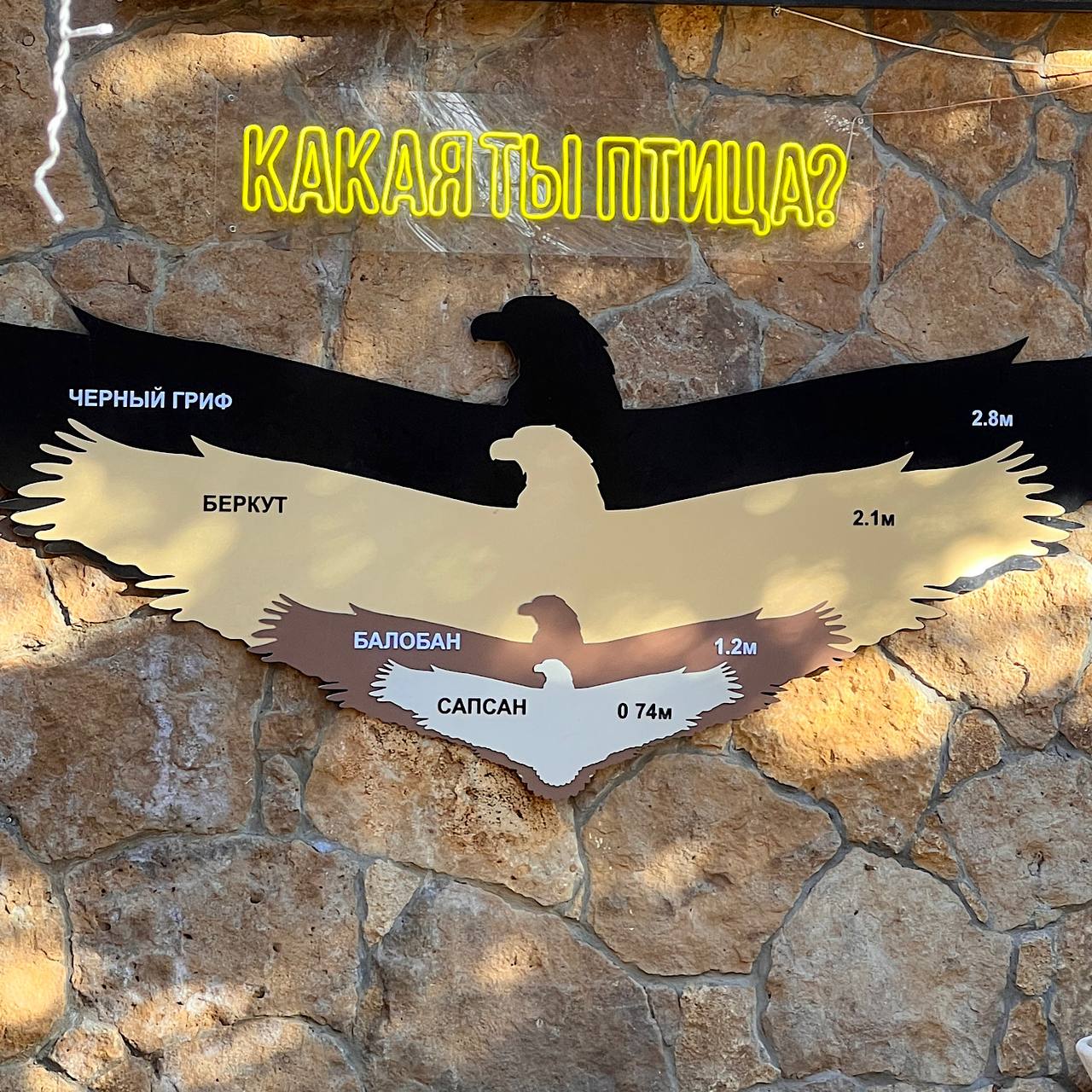 3-в-1 из Ессентуков с термальными источниками! (9/20)