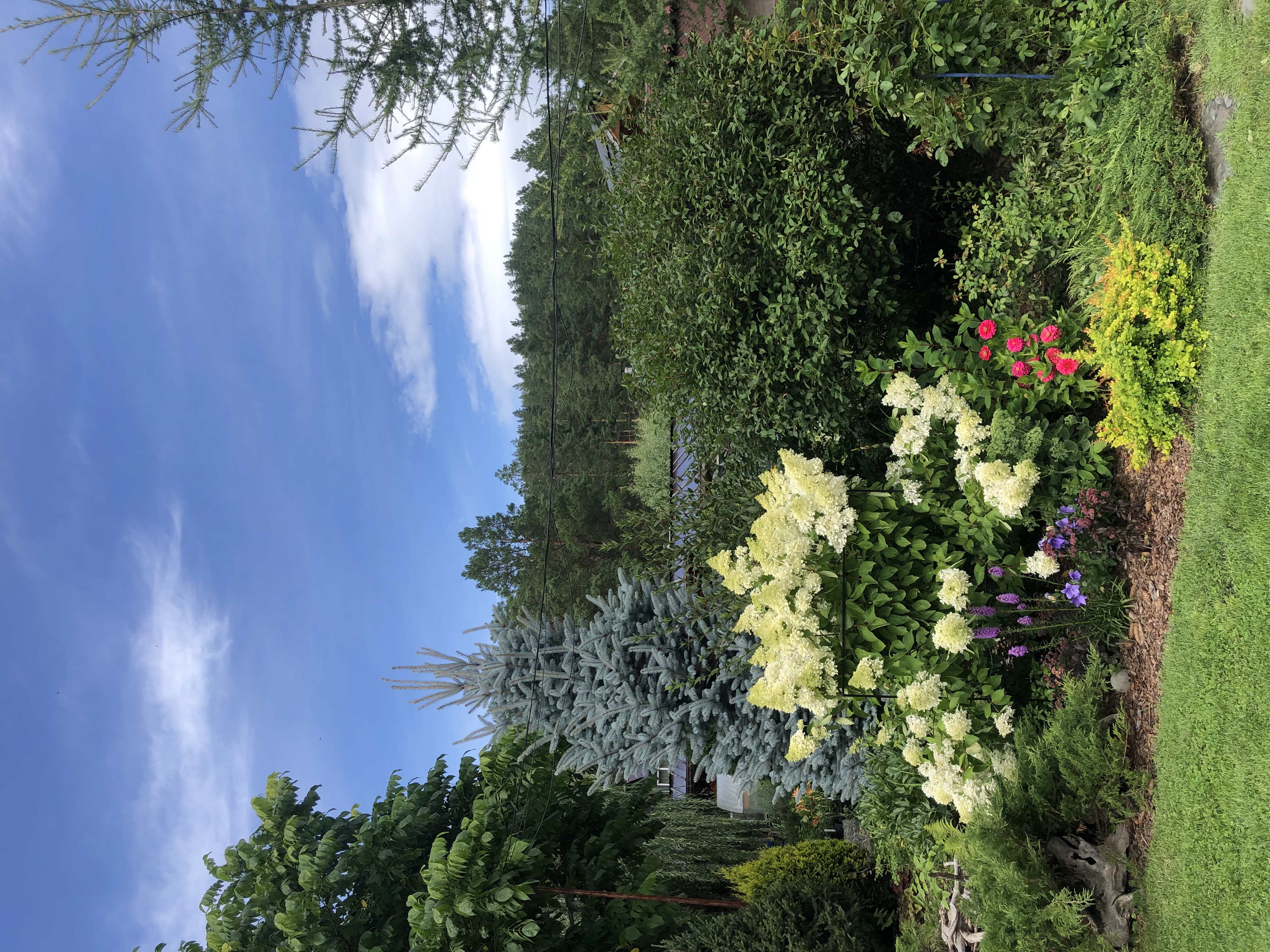 Ты Любовь - Алтайское Путешествие Со Смыслом (108/142)