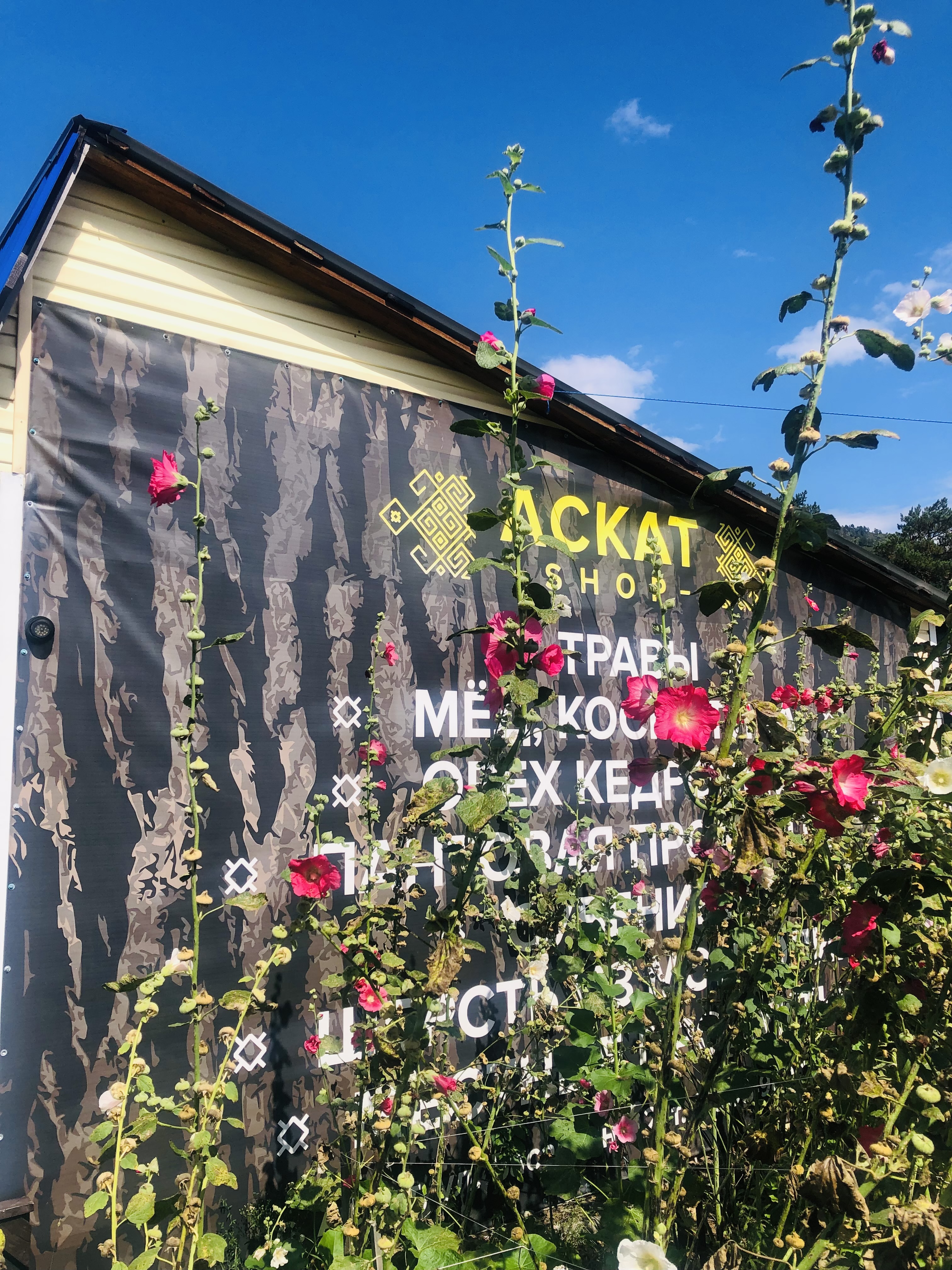 Ты Любовь - Алтайское Путешествие Со Смыслом (111/142)