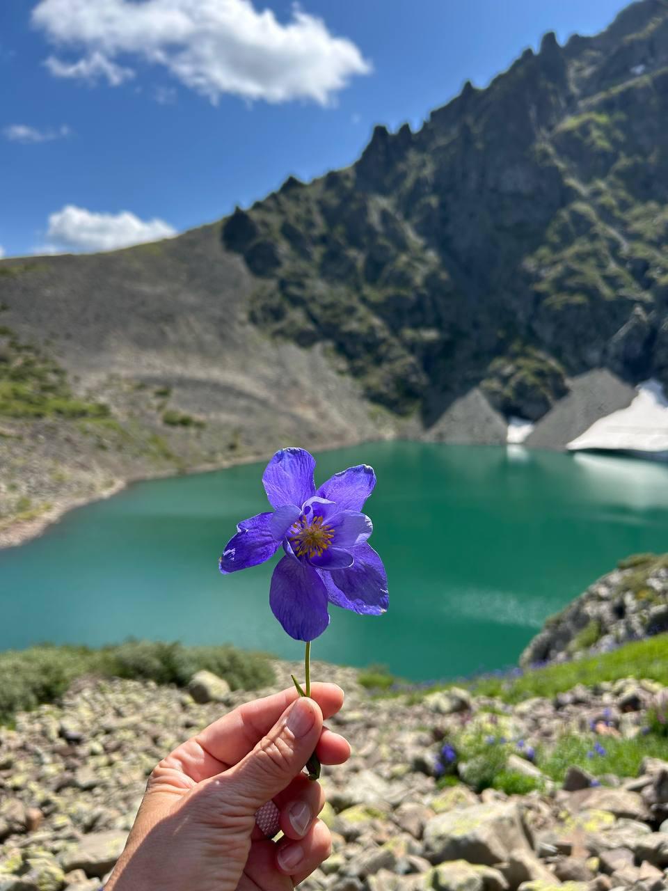 Алтай без границ