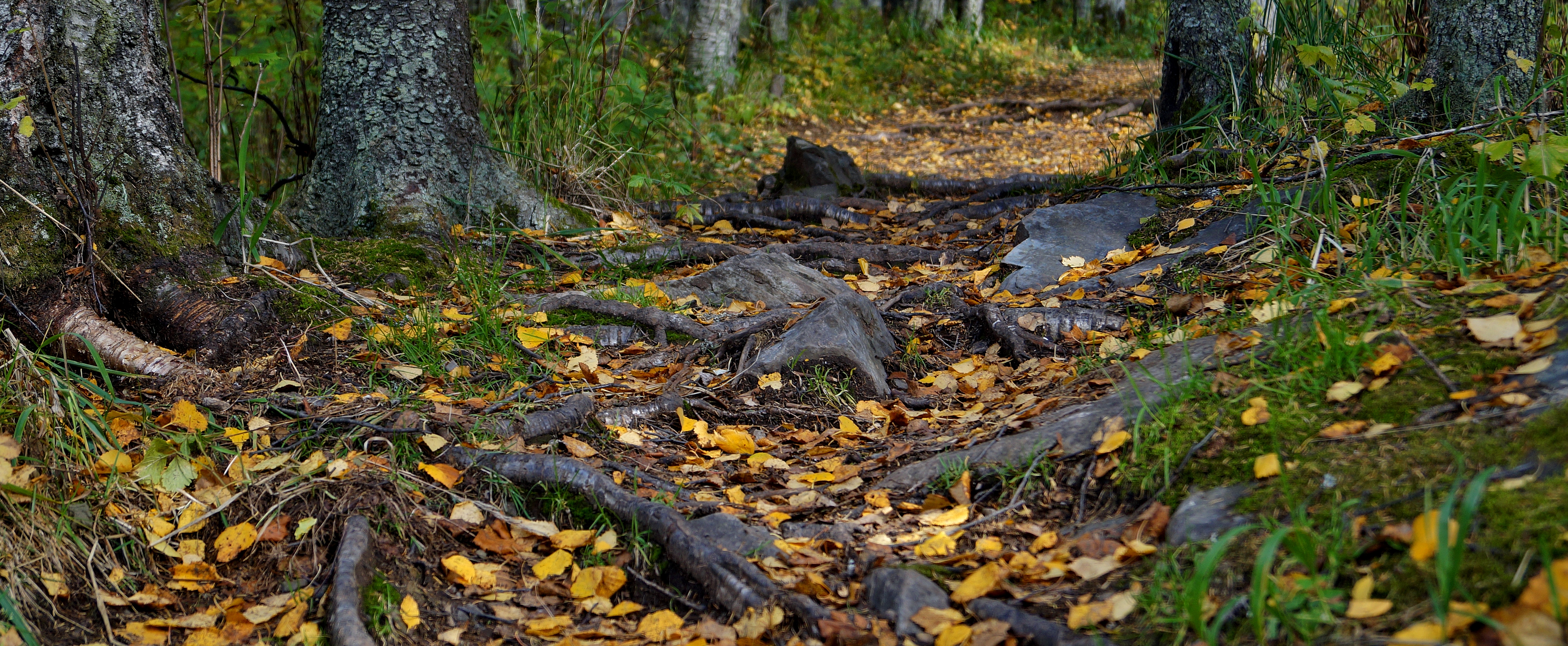 Урал заповедный (15/24)