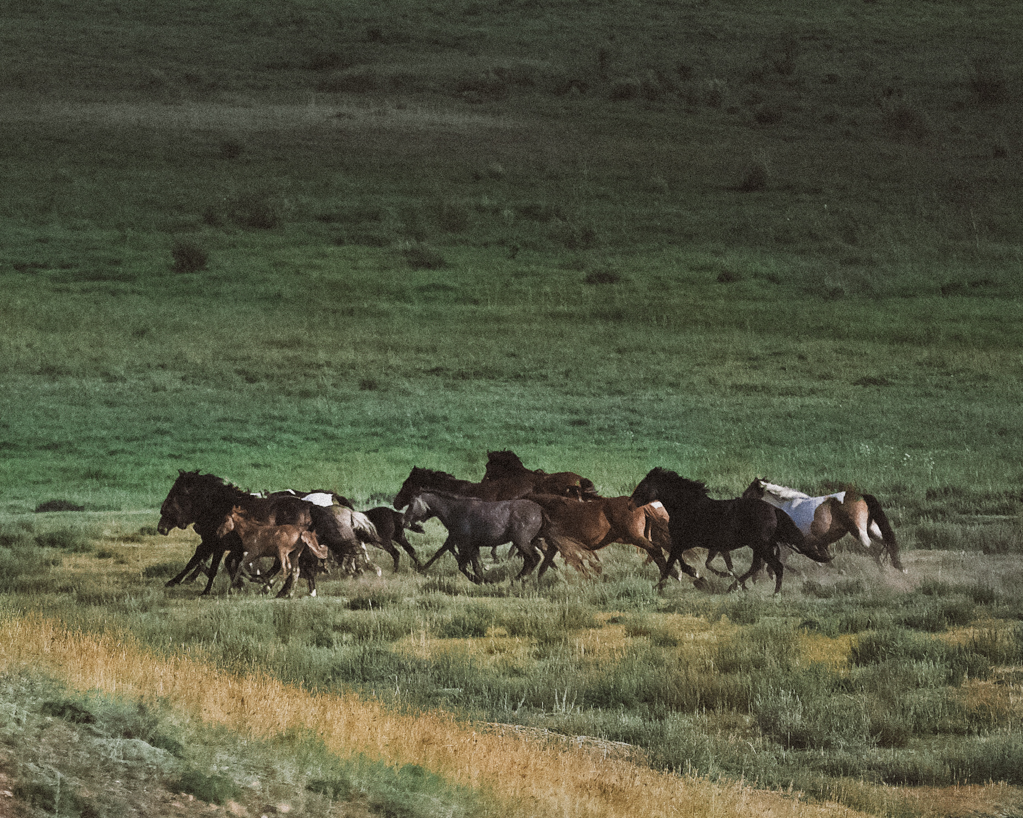 Алтай. На всю катушку! (45/69)