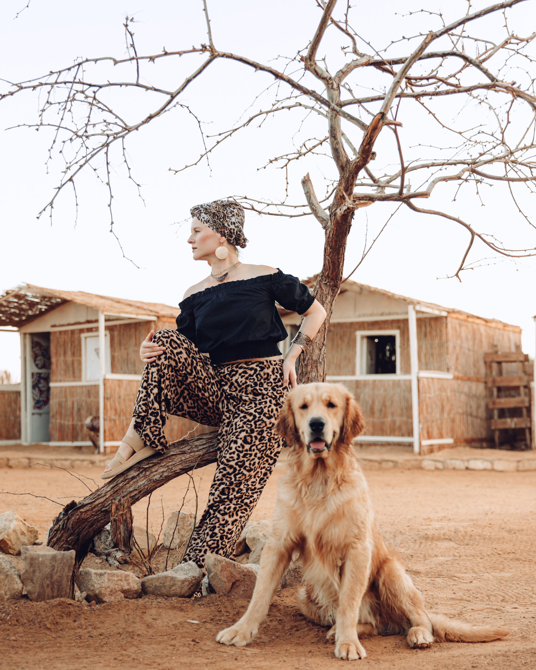 Нувейба не известное место на Красном море среди каньонов Синая Египет для Своих (16/79)