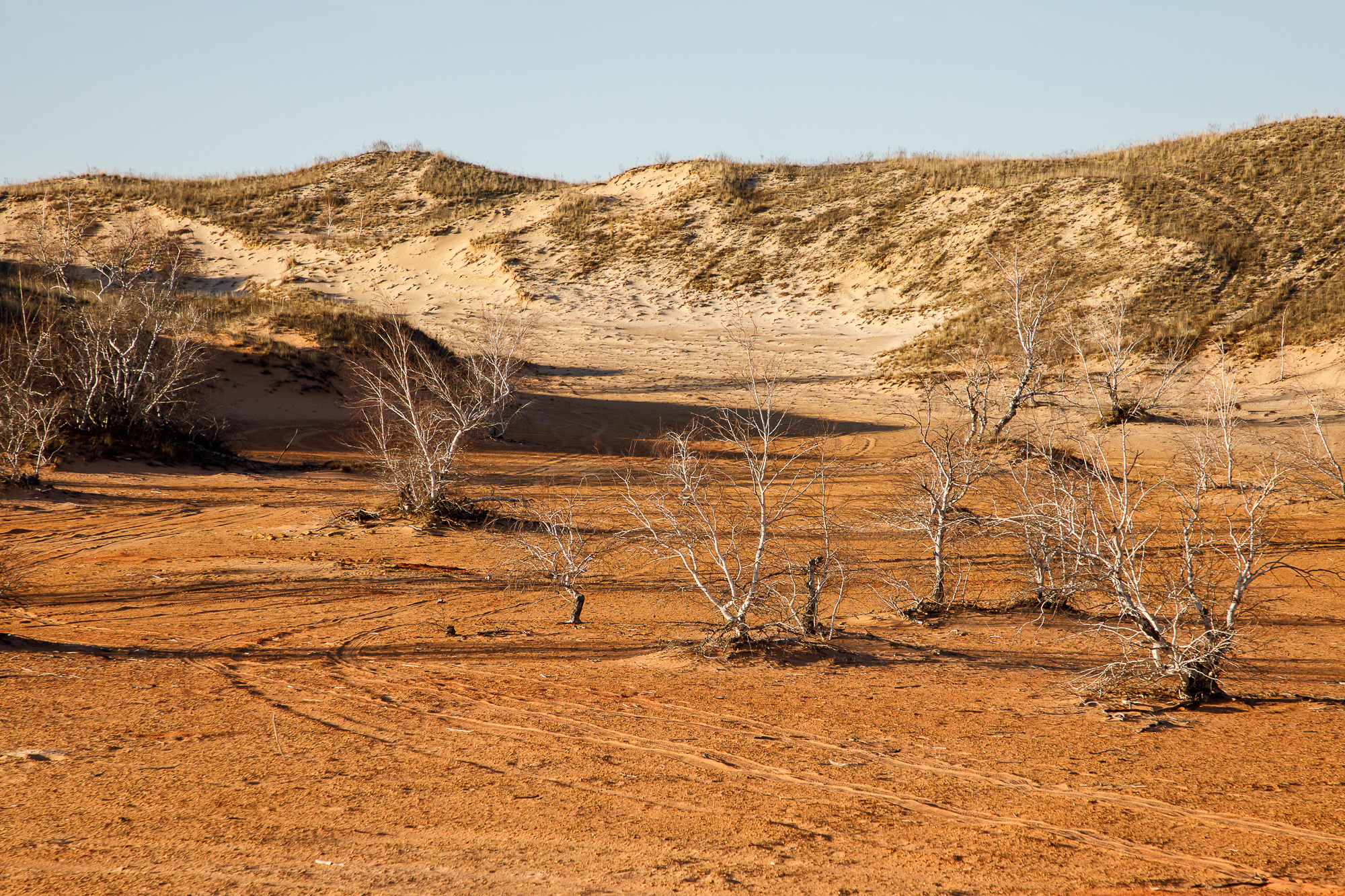 Тур в Волгоград и Нижнее Поволжье от Дона до озера Эльтон (мини-группа) - 8 дней (49/55)