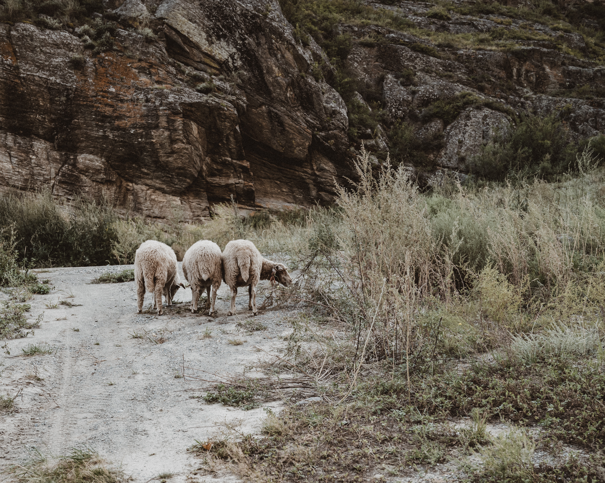 Алтай. На всю катушку! (30/69)