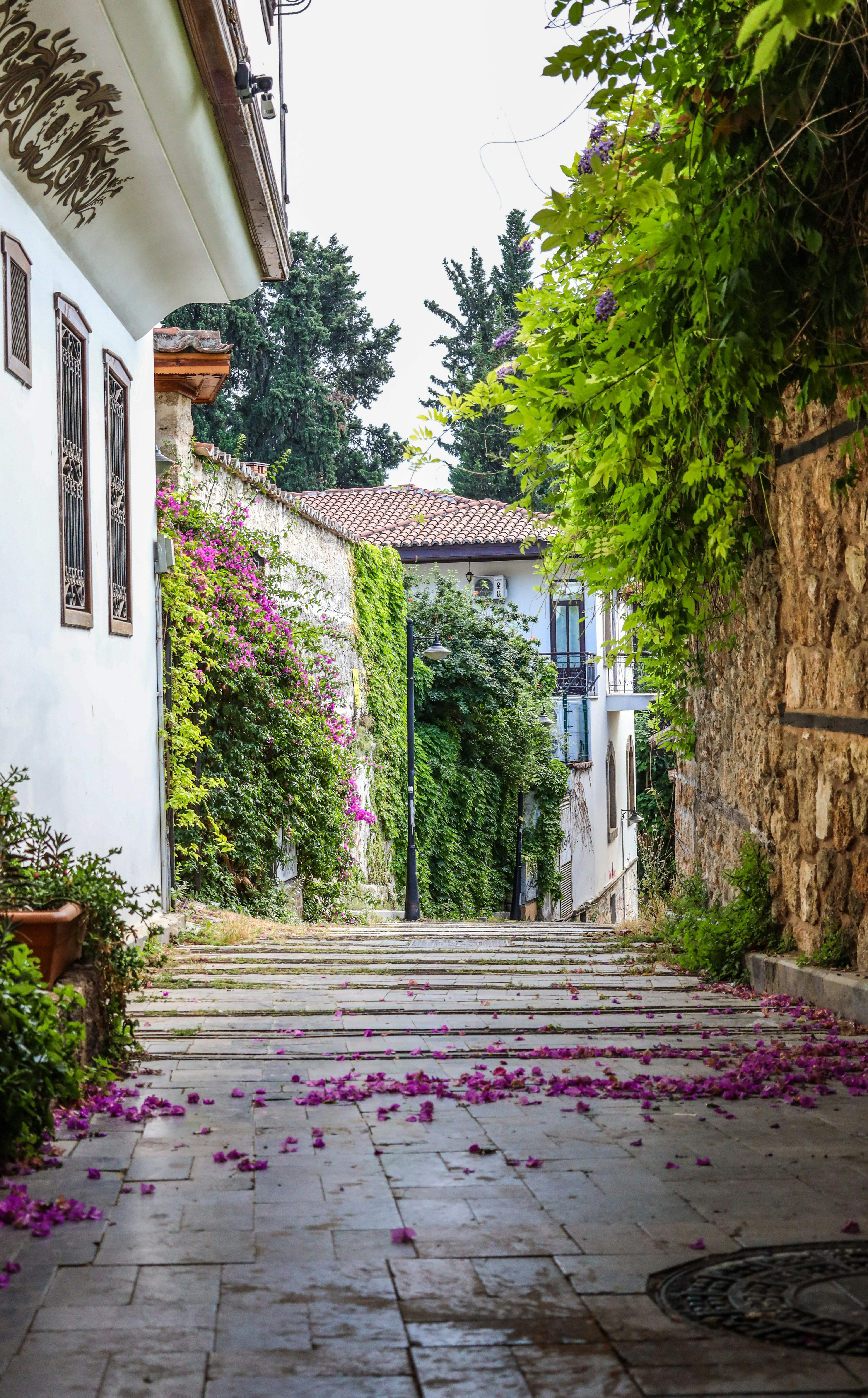 Легенда Турции: от Стамбула до Анкары (16/29)