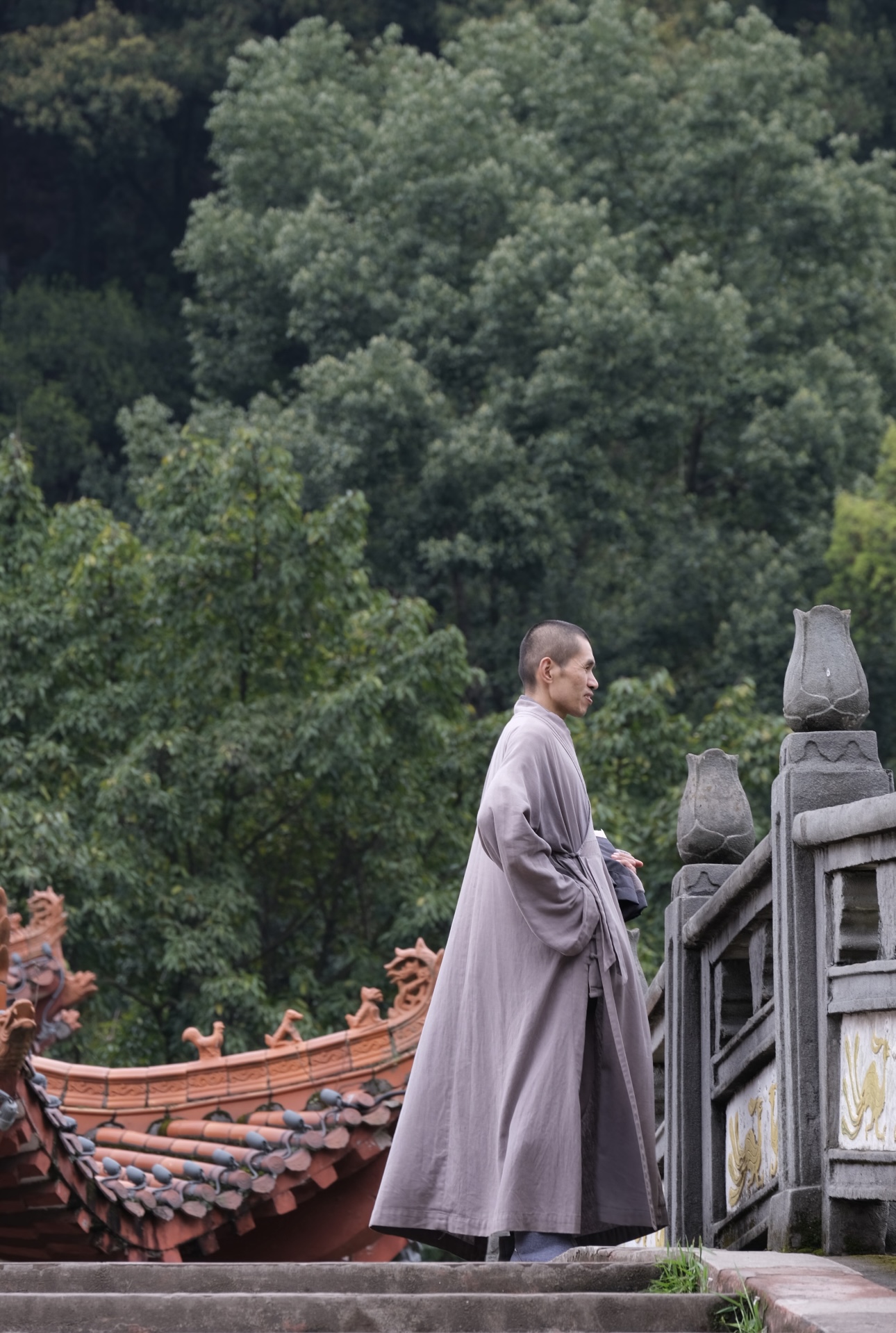 Из Чэнду к статуе большого Будды (6/10)