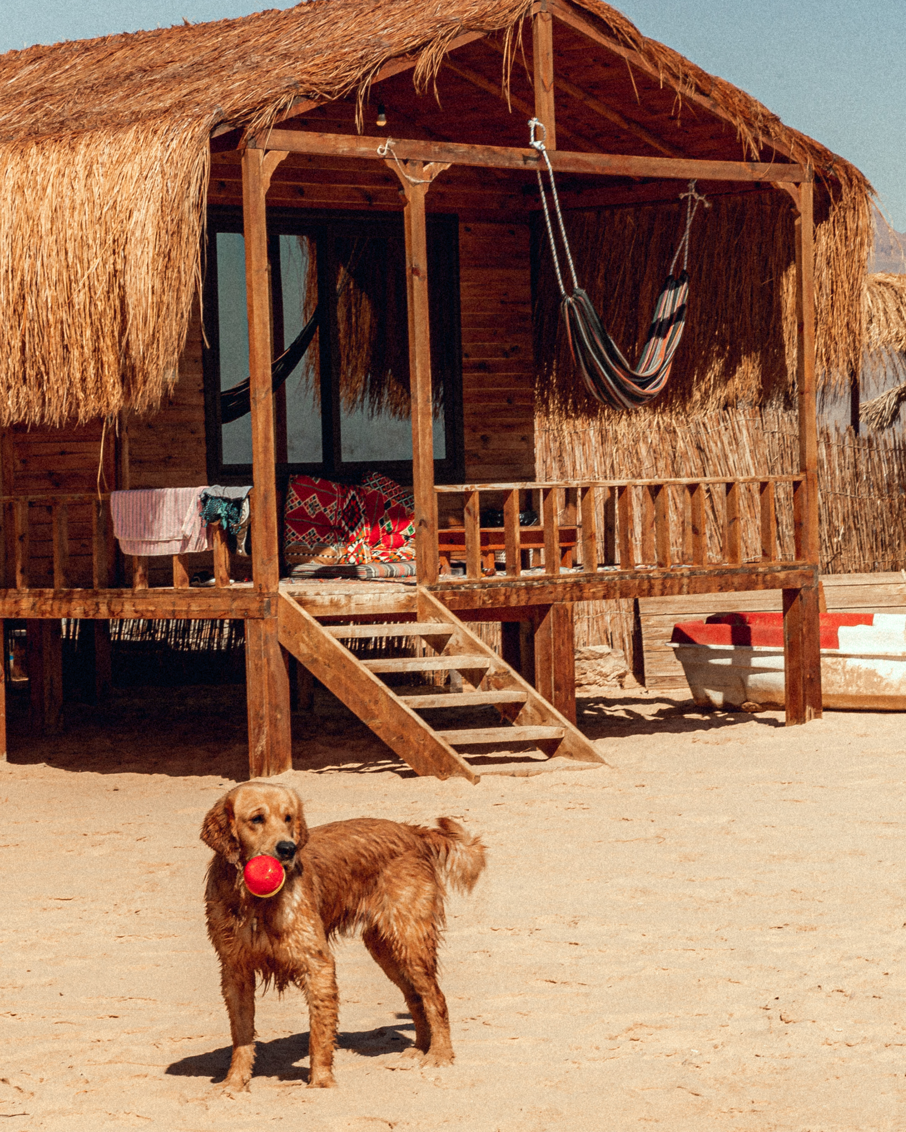 Нувейба не известное место на Красном море среди каньонов Синая Египет для Своих (19/79)