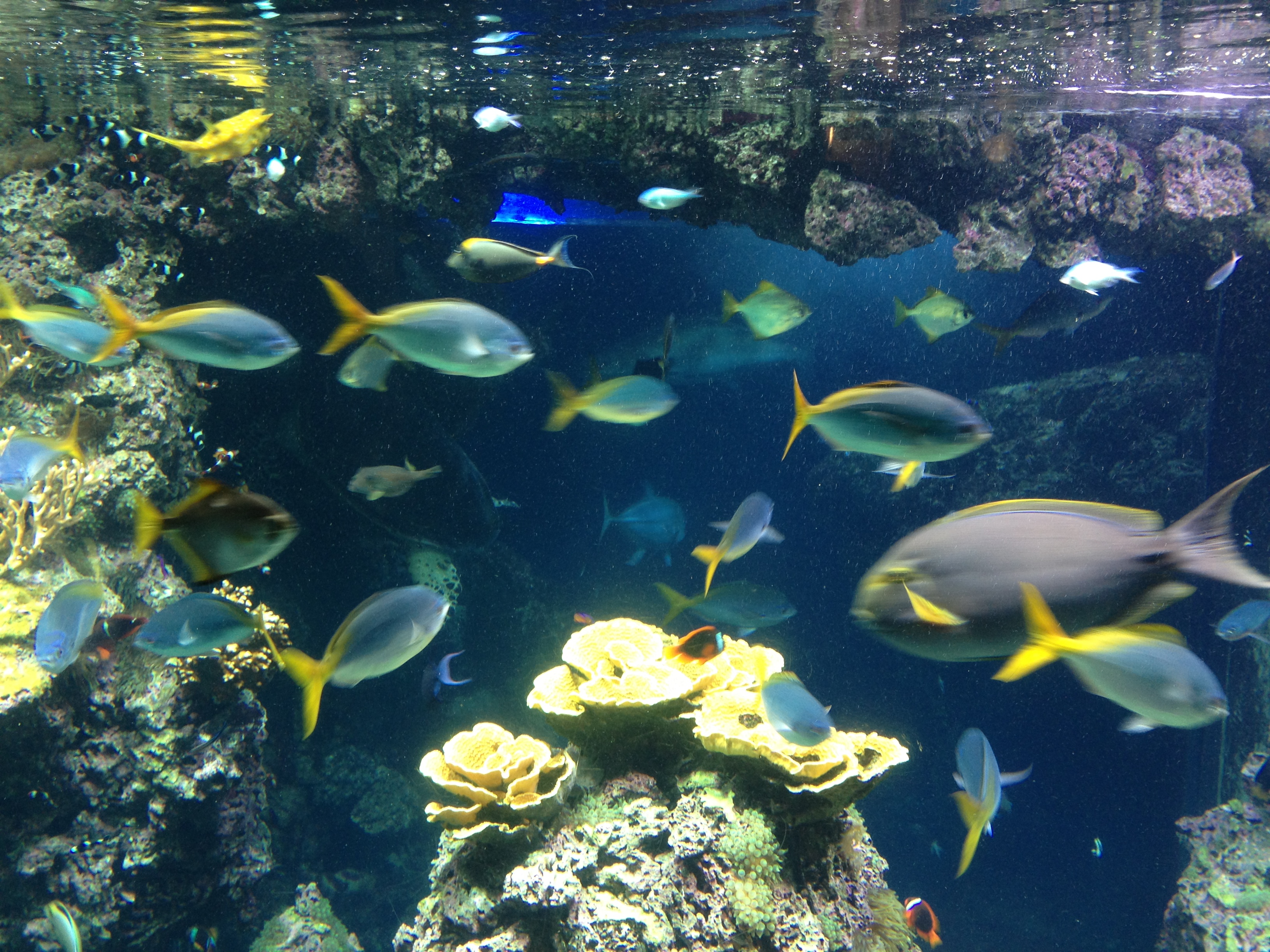 Авторская Экспедиция Вокруг Света За 30 Дней (34/36)