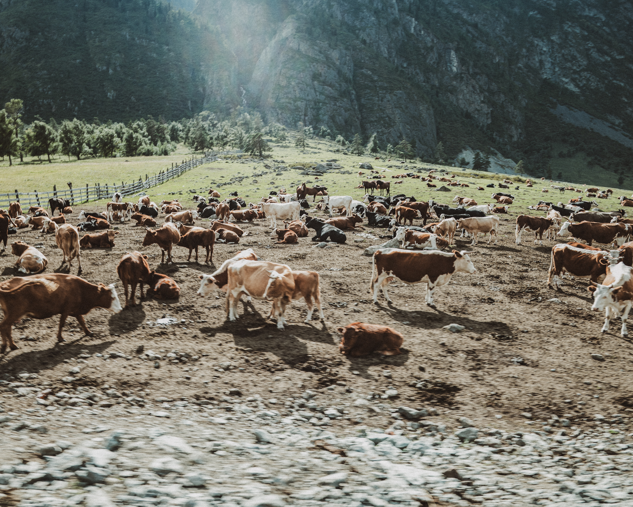 Алтай. На всю катушку! (31/69)