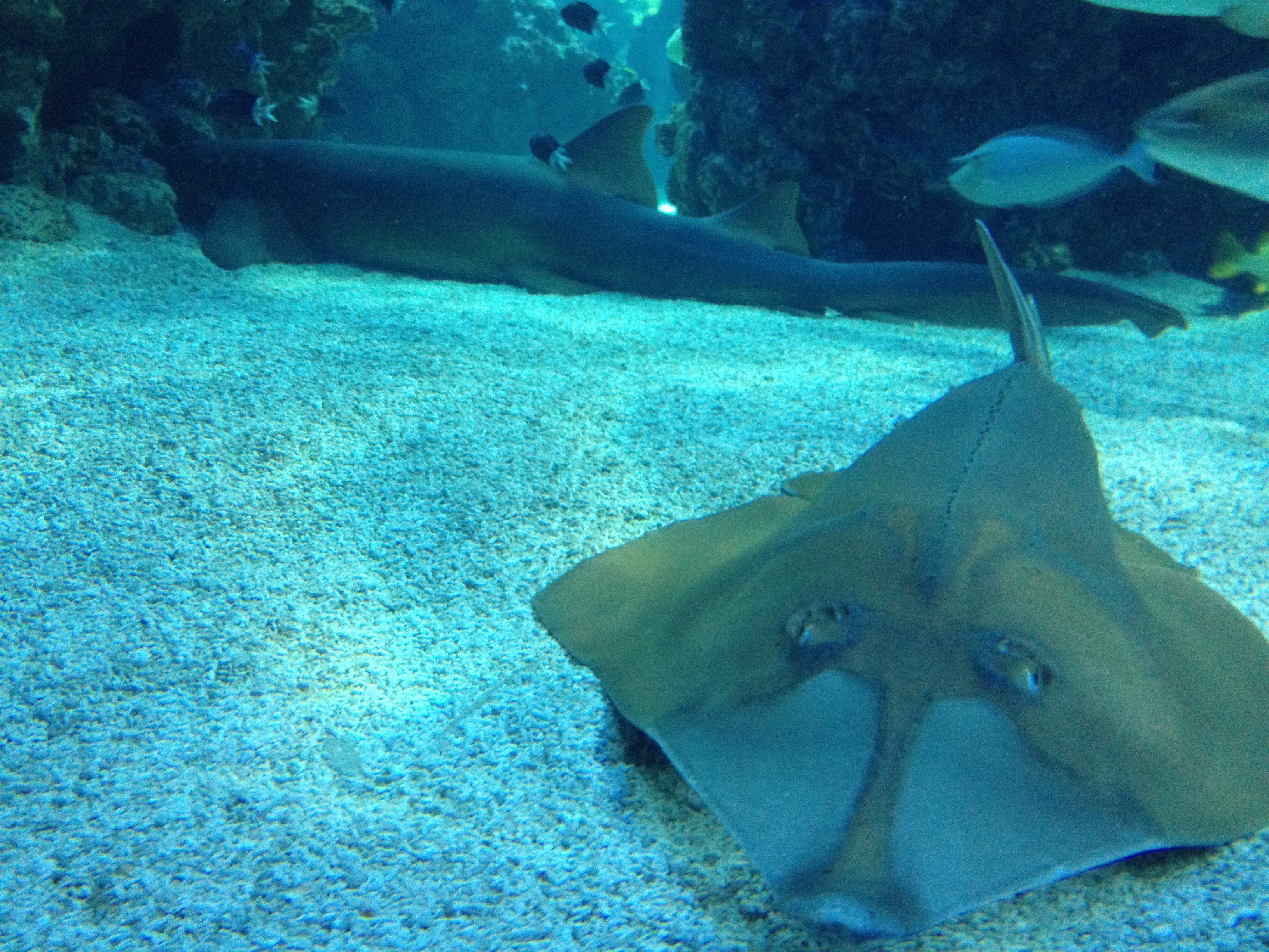 Авторская Экспедиция Вокруг Света За 30 Дней (33/36)