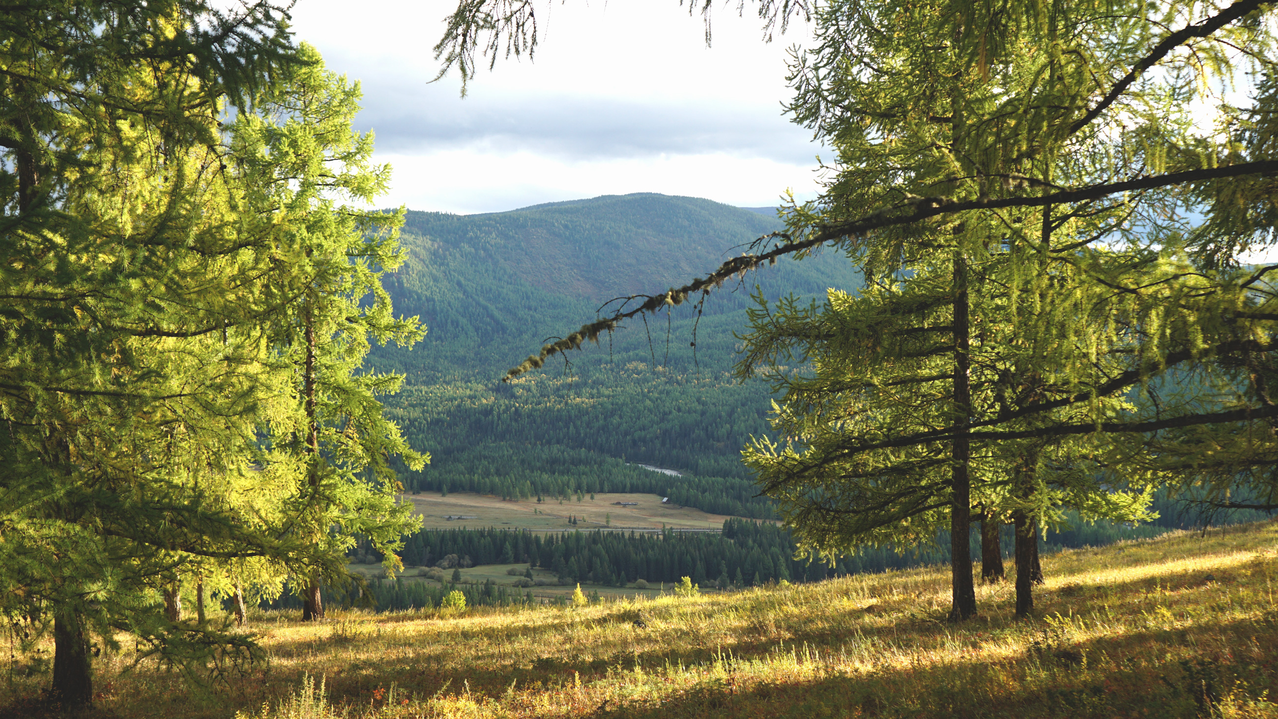 Алтай. Код бесконечности. Гран-тур впечатлений. (2/17)