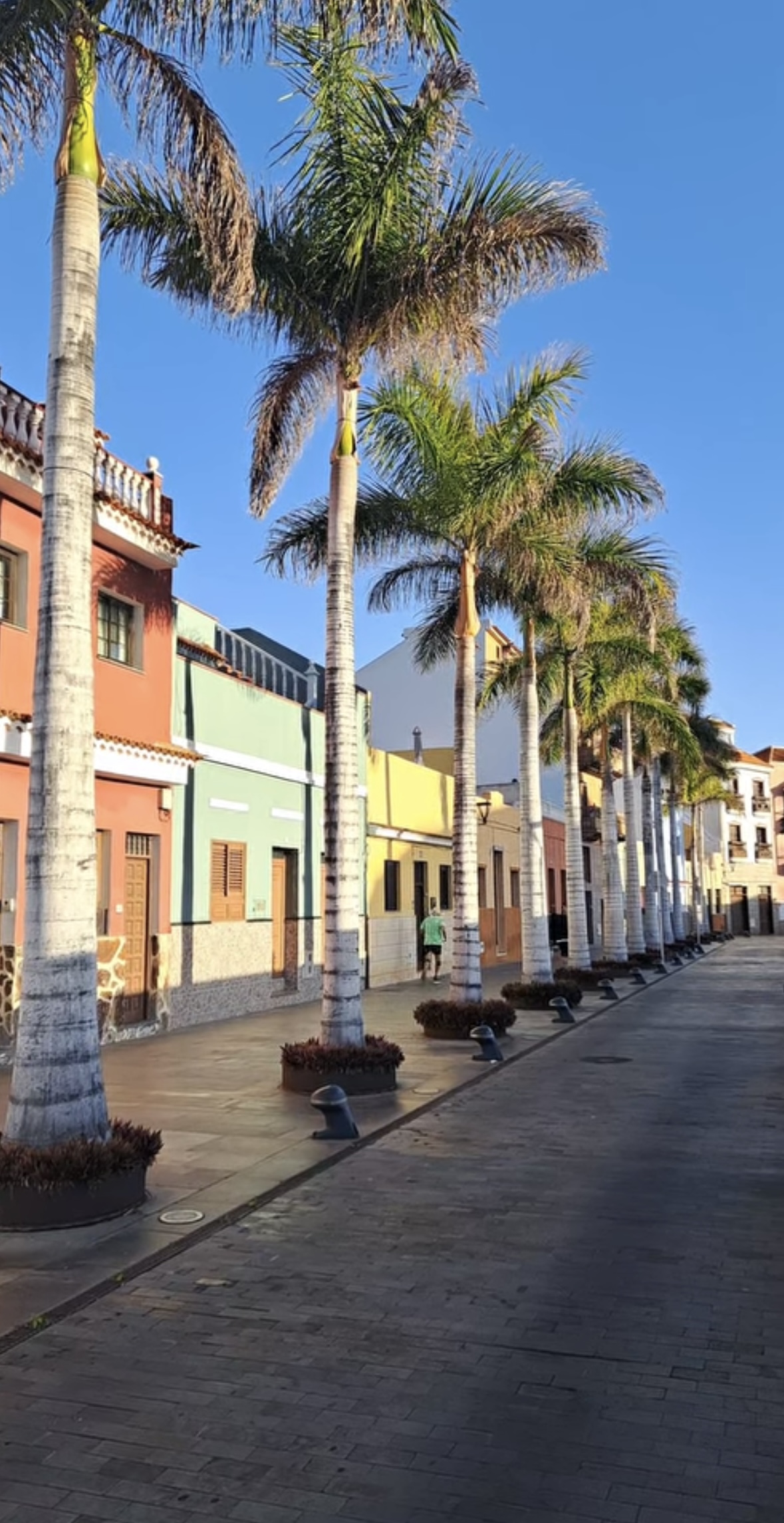 Остров вечной весны. Канары (2/17)