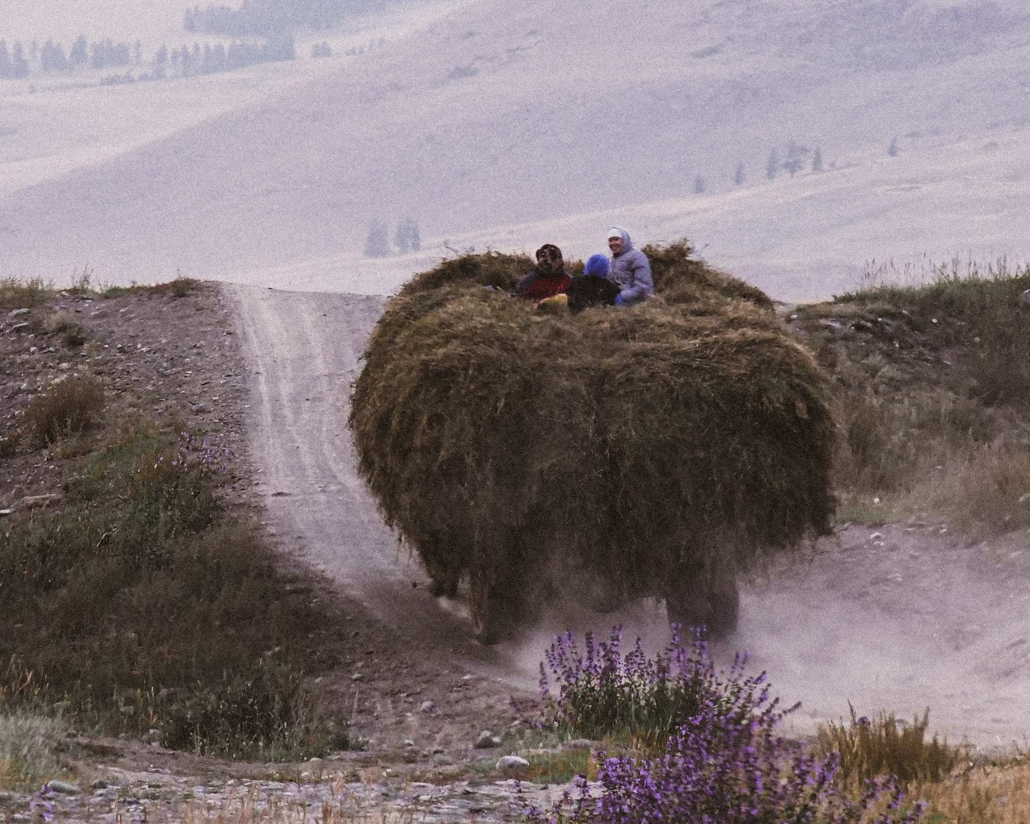 Алтай. На всю катушку! (69/69)