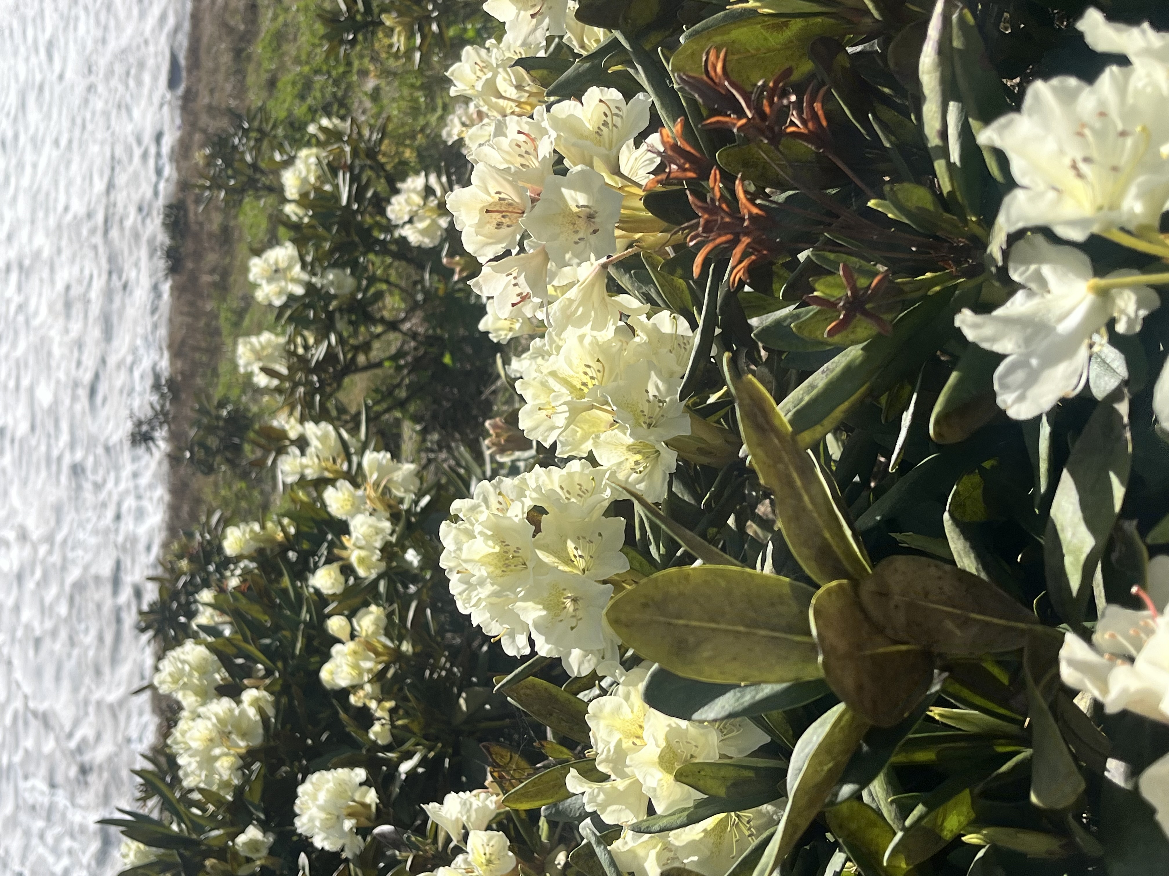 Джип тур к снежным вершинам  Архыза из Ессентуков (22/42)