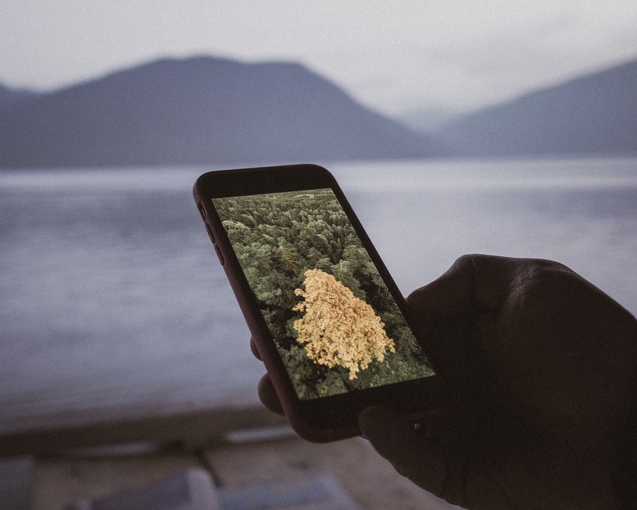 Алтай. На всю катушку! (67/69)