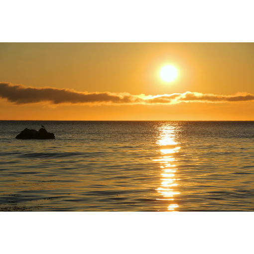 Экспедиционный круиз Камчатка-Северные Курилы (5/20)