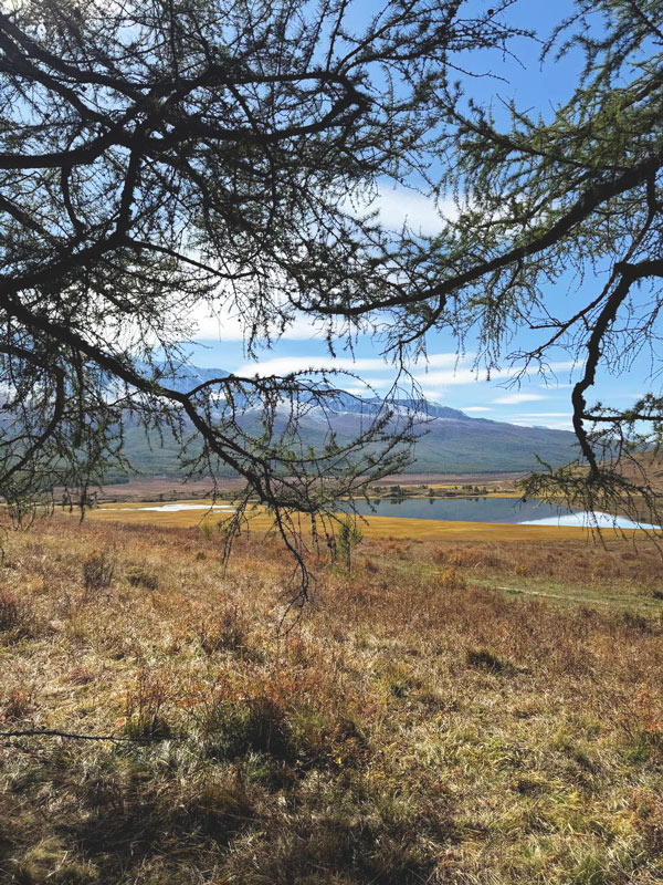 Алтай. Код бесконечности. Гран-тур впечатлений. (16/17)