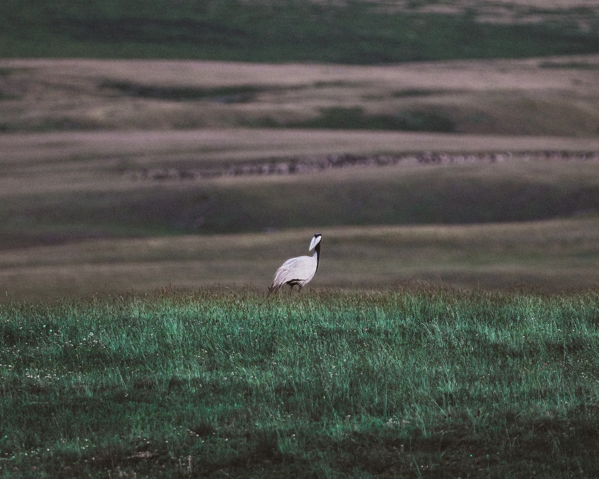 Алтай. На всю катушку! (25/69)