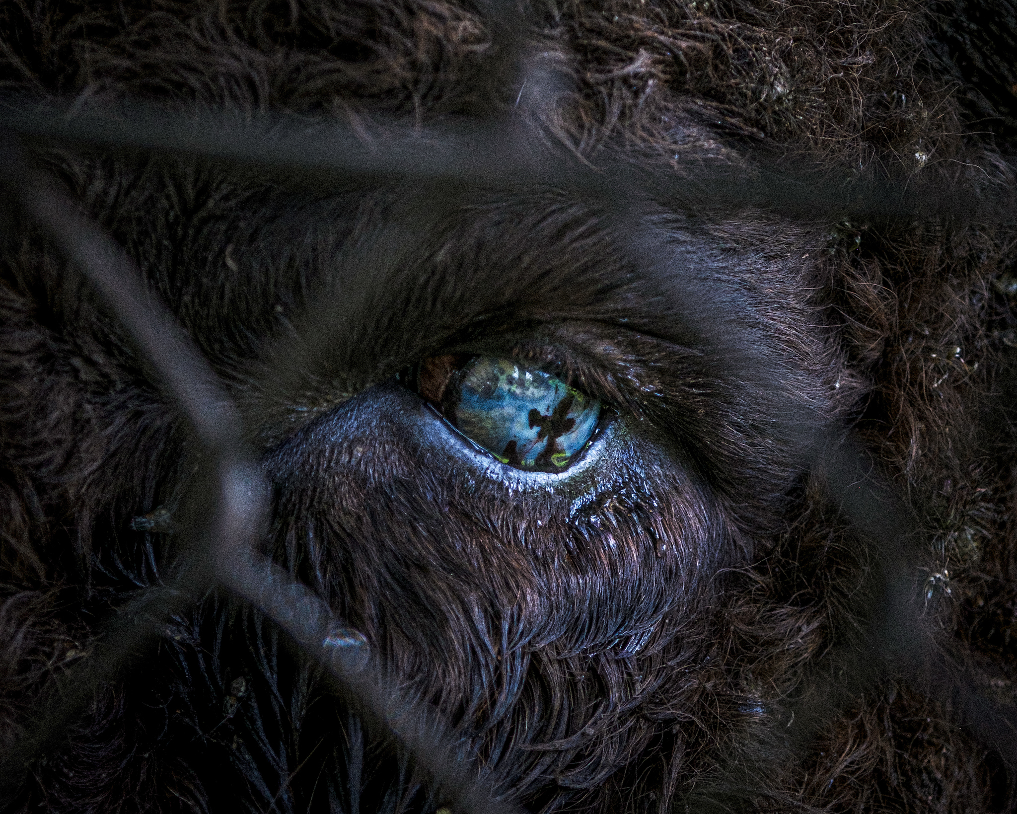 Алтай. На всю катушку! (65/69)