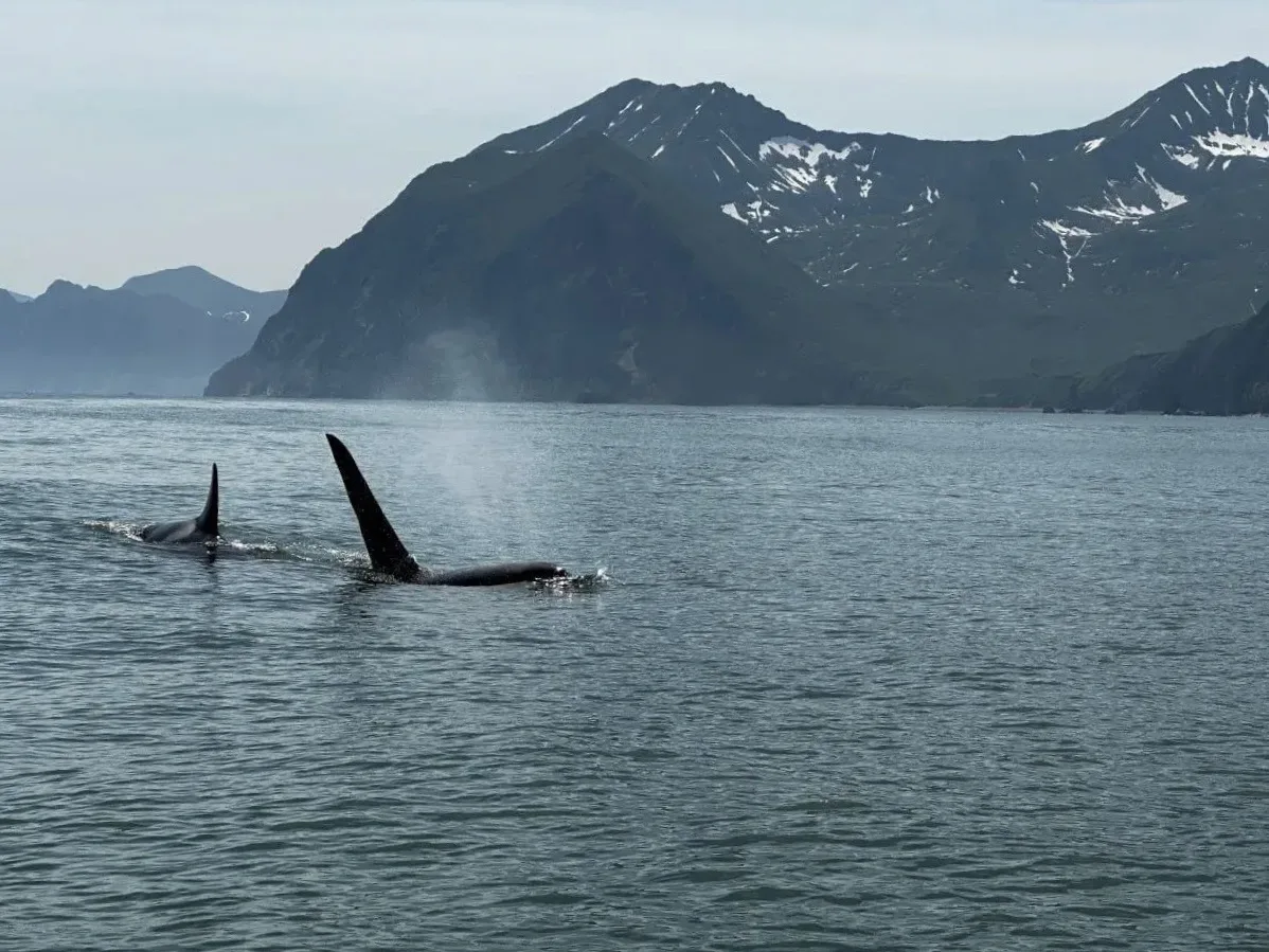 Камчатский  Калейдоскоп