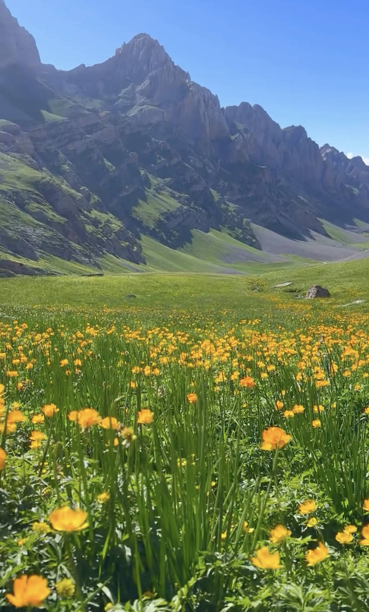 А Поехали в Киргизию?! (14/17)