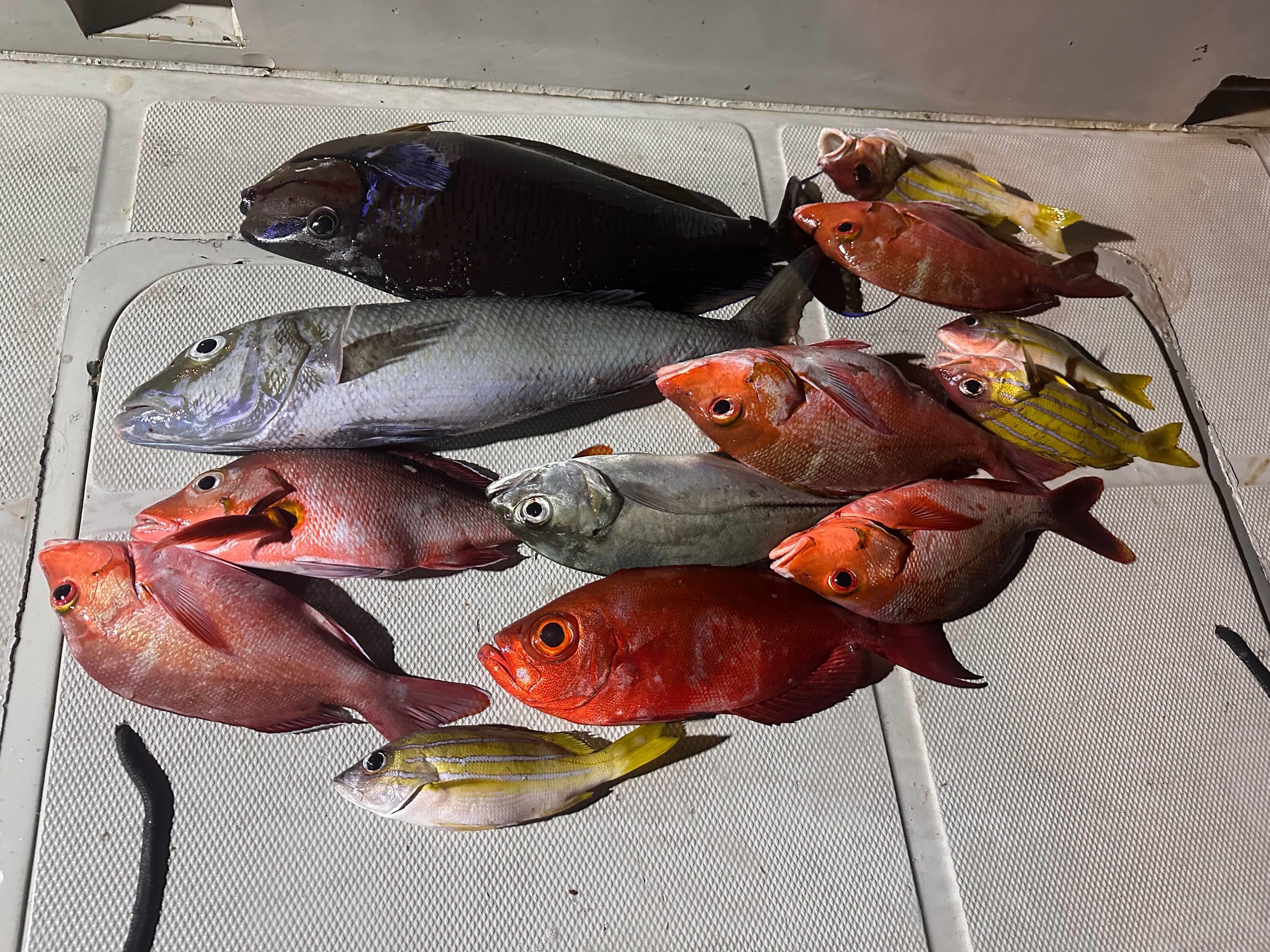 Тур на Мальдивы все включено в отеле на первой линии (14/20)