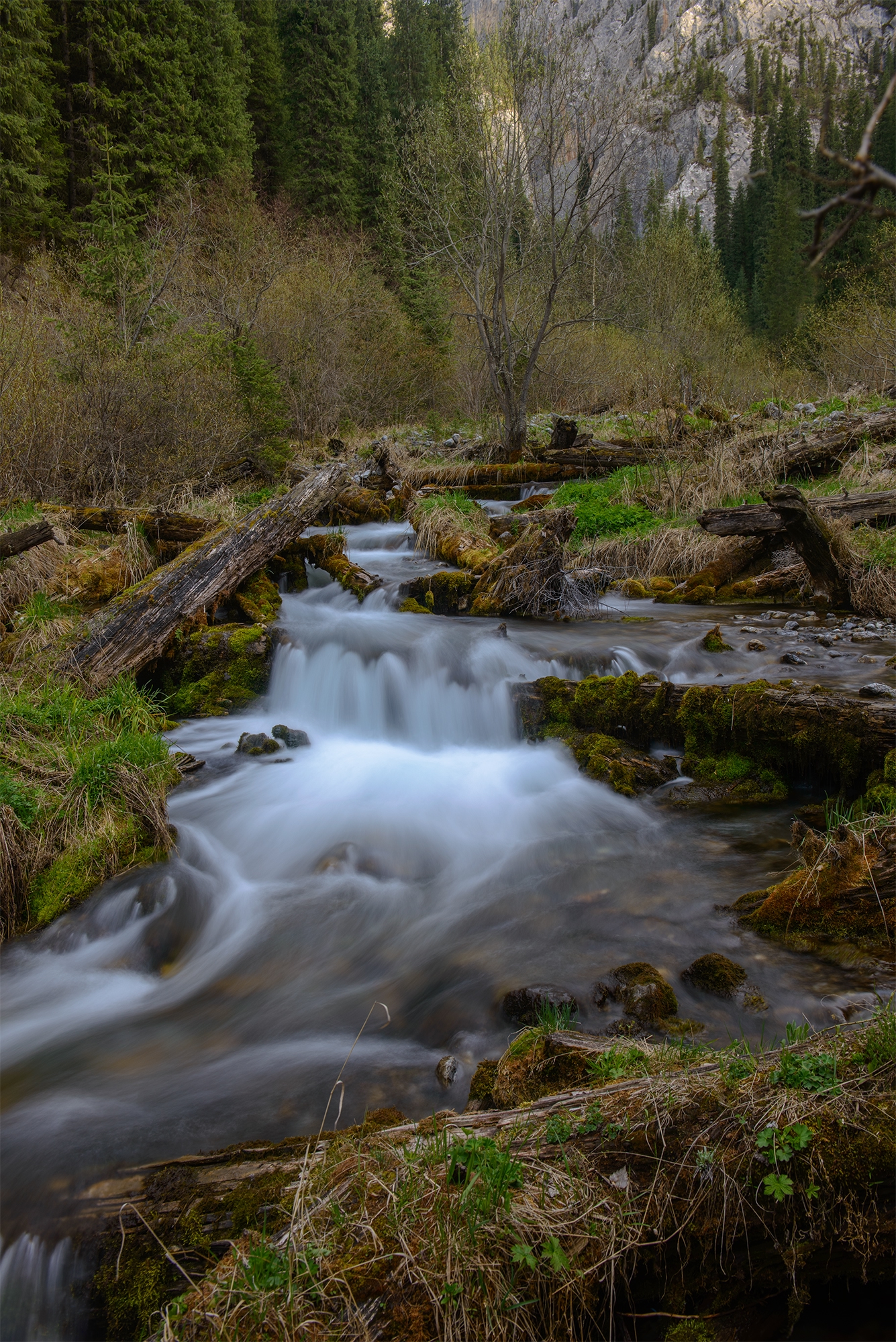 Фототур на Северный Тянь-Шань. Семиречье - жемчужина Казахстана. (24/126)