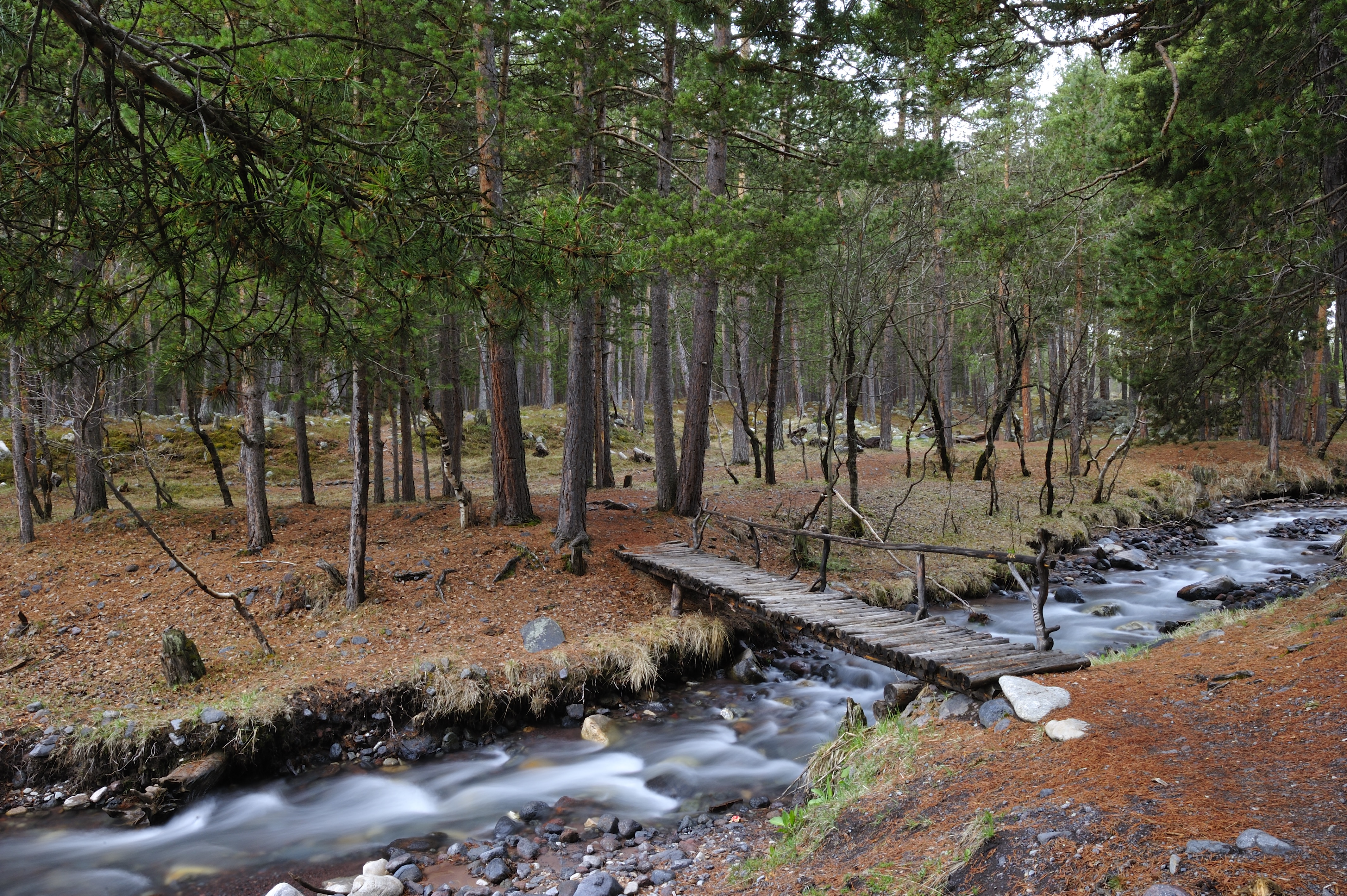 Приэльбрусье: Легкий старт (20/34)