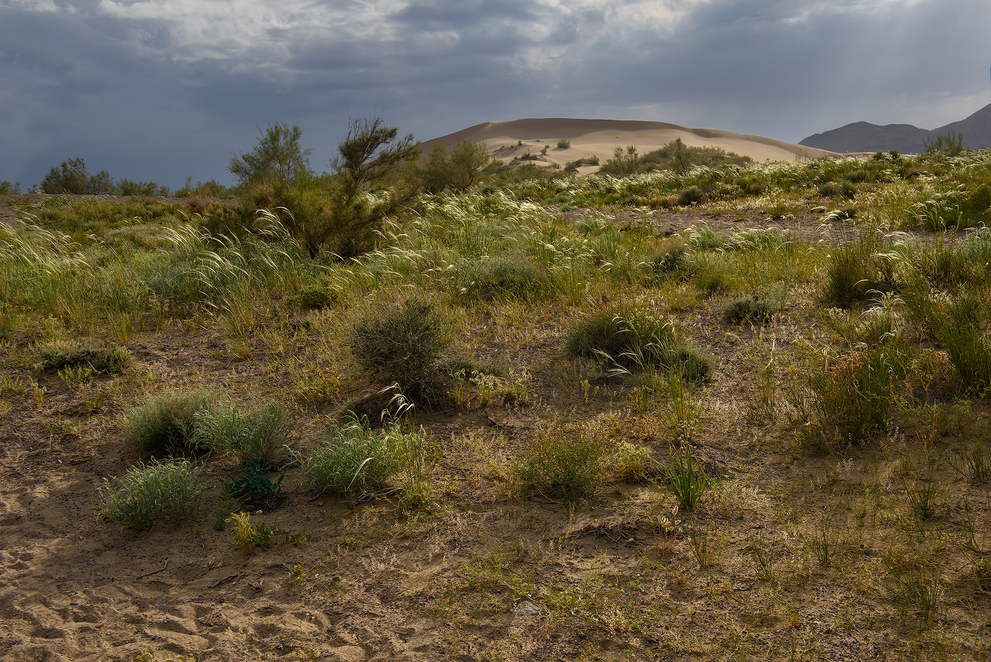 Фототур на Северный Тянь-Шань. Семиречье - жемчужина Казахстана. (41/126)