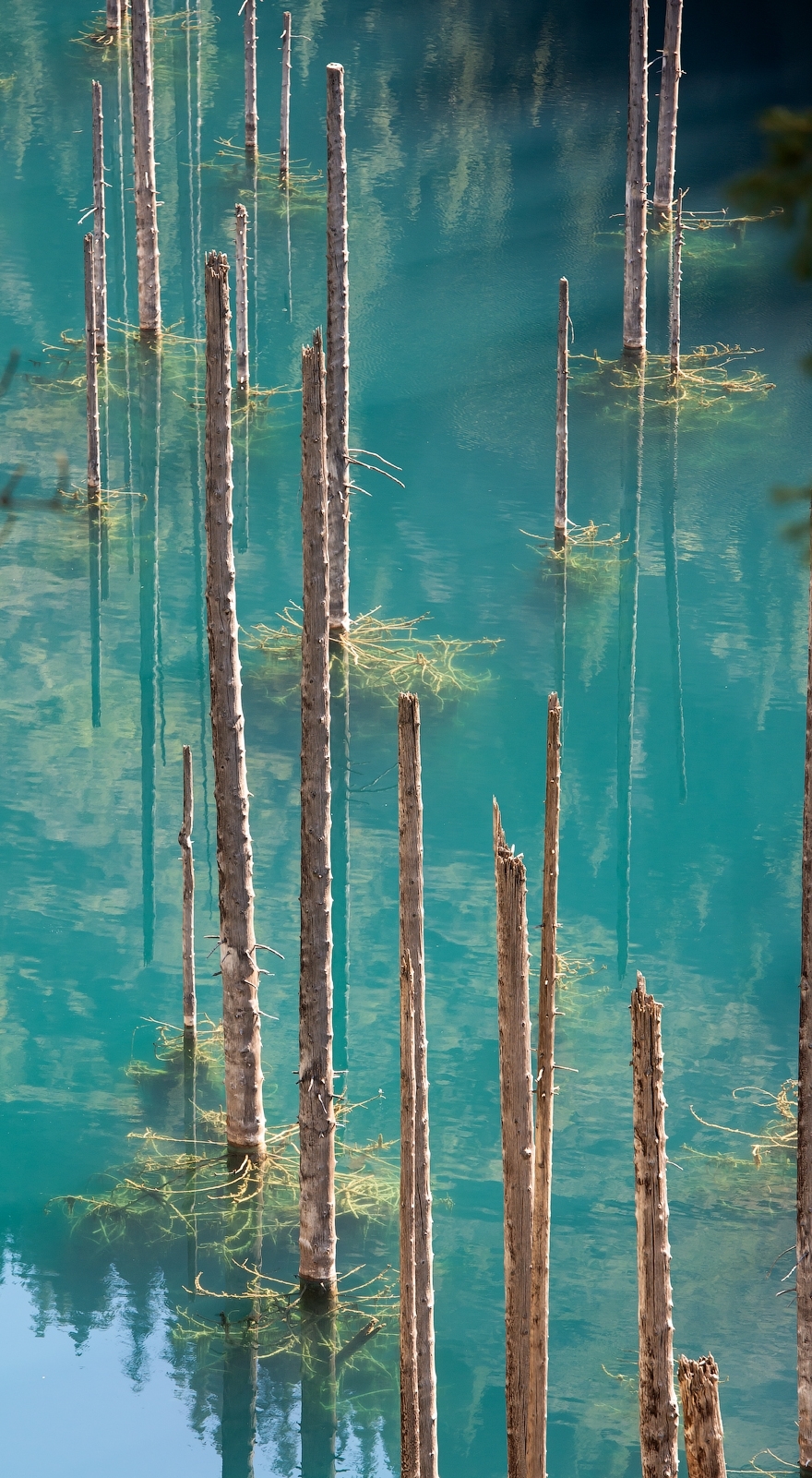 Фототур на Северный Тянь-Шань. Семиречье - жемчужина Казахстана. (51/126)