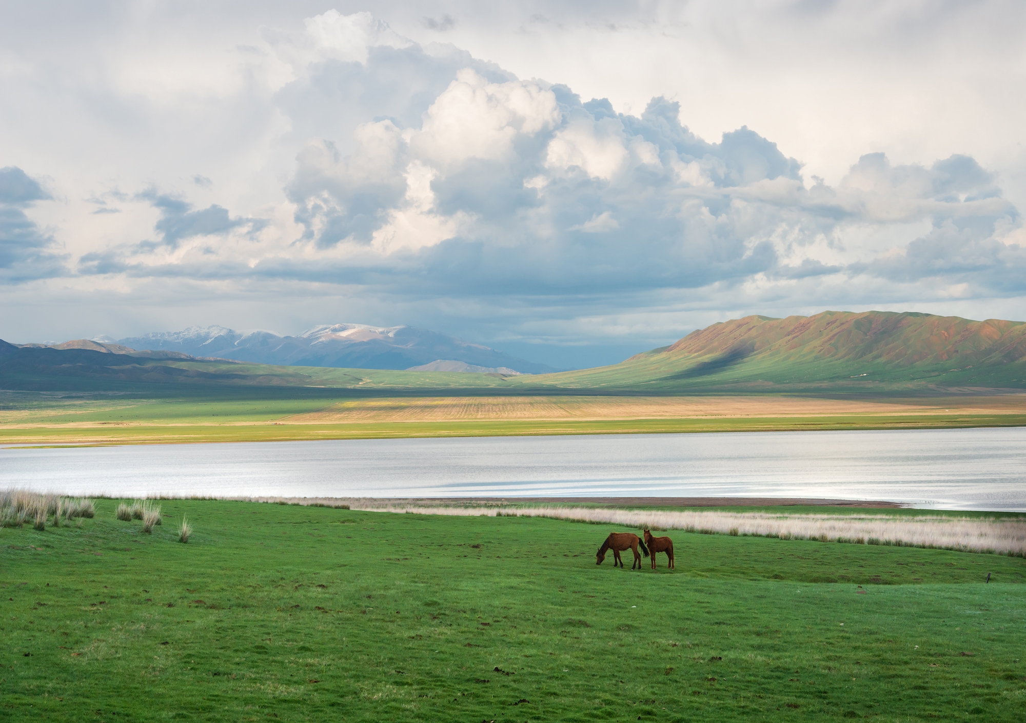 Фототур на Северный Тянь-Шань. Семиречье - жемчужина Казахстана. (29/126)