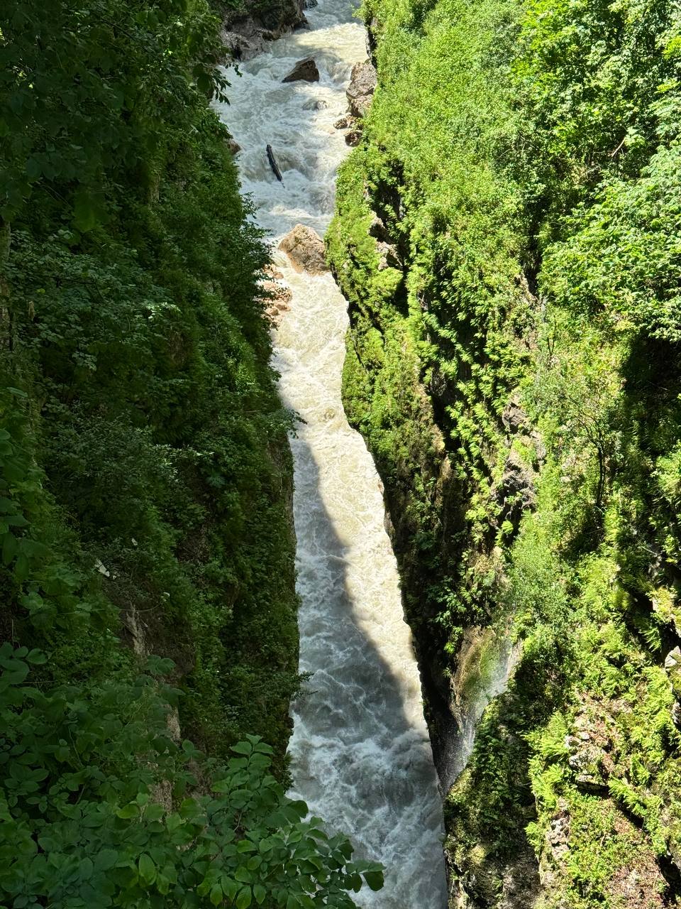 Северная Осетия: треккинг без палаток и рюкзаков. Тур-разведка. (11/14)