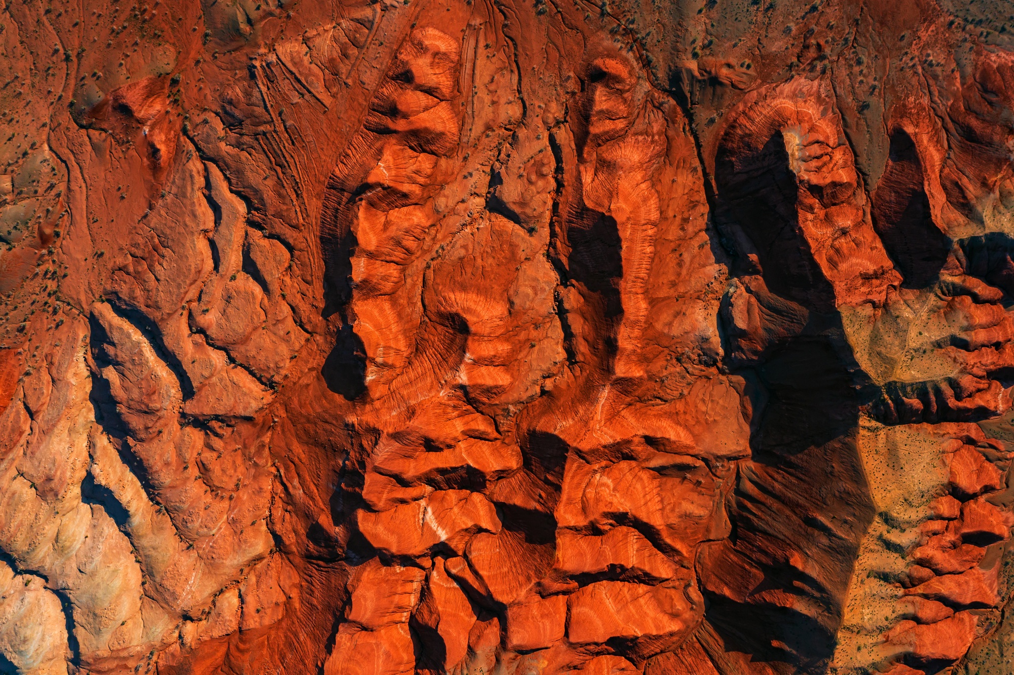 Фототур на Северный Тянь-Шань. Семиречье - жемчужина Казахстана. (9/126)