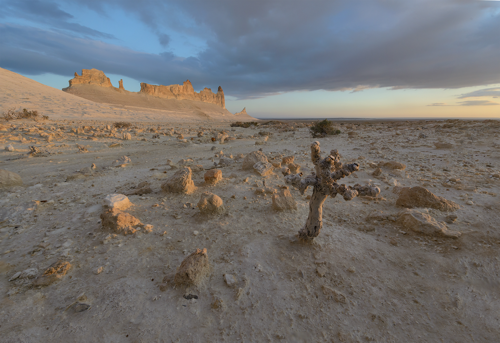 Фототур в Мангистау. Другая планета. (82/124)