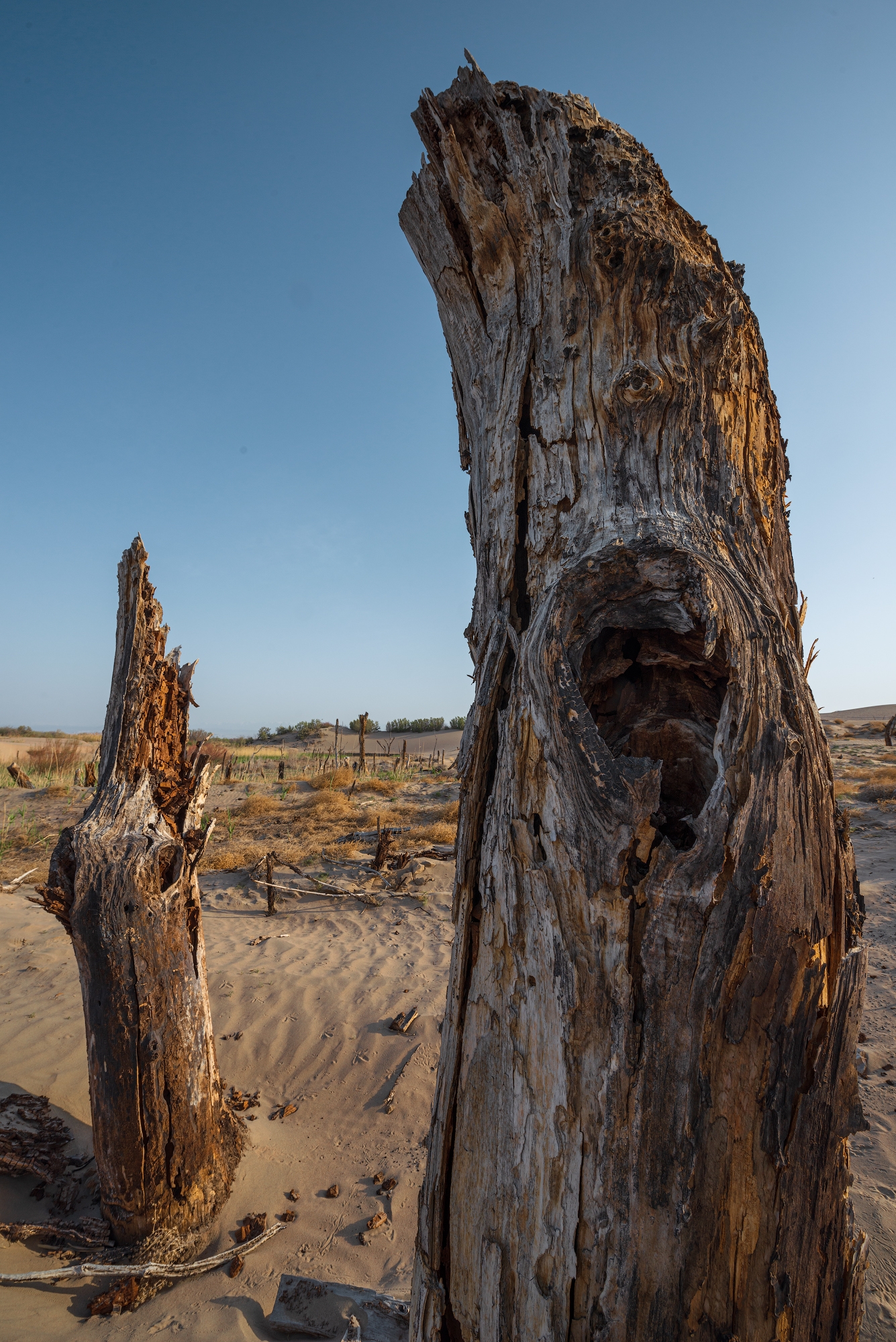 Фототур на Северный Тянь-Шань. Семиречье - жемчужина Казахстана. (40/126)