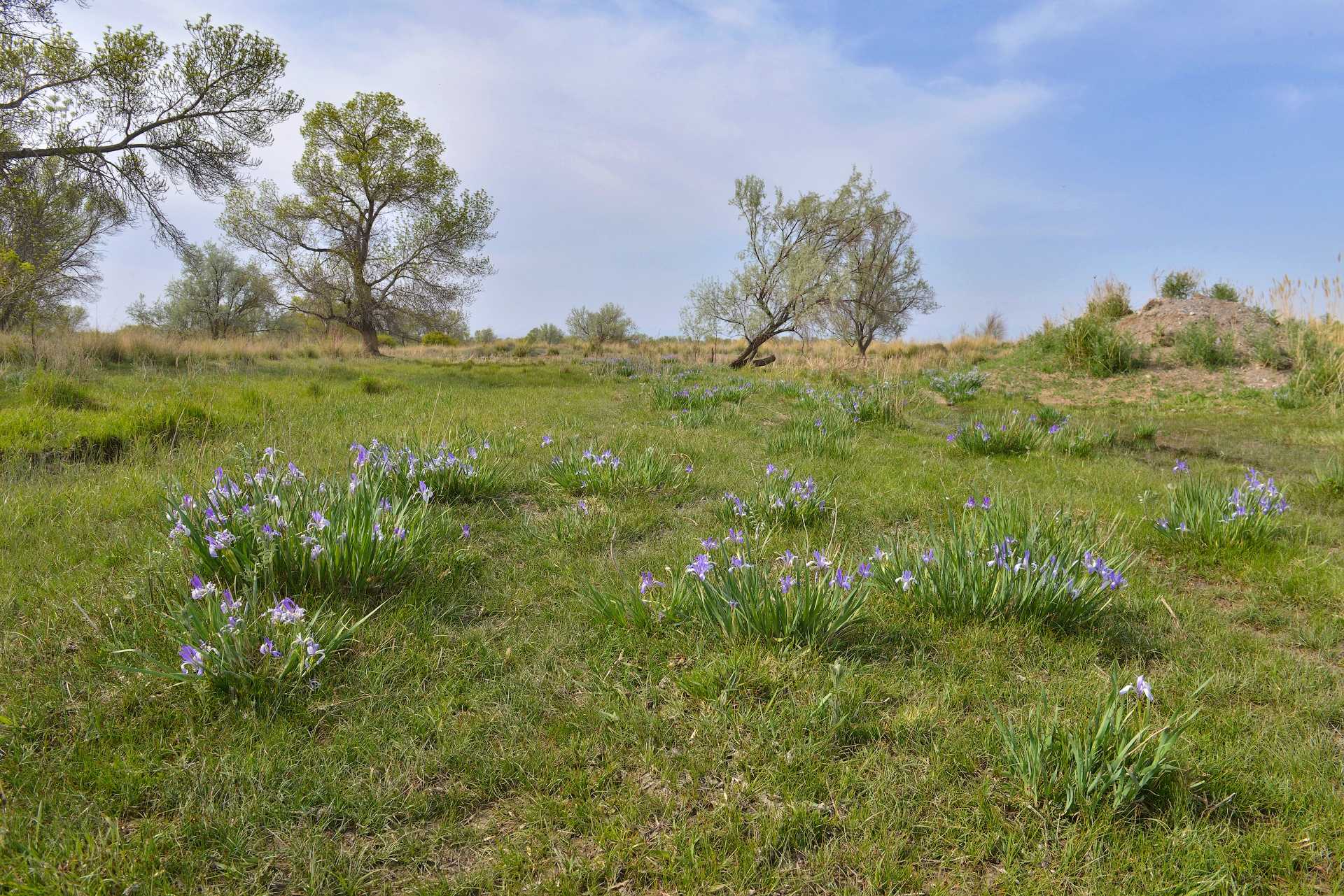 Фототур на Северный Тянь-Шань. Семиречье - жемчужина Казахстана. (73/126)
