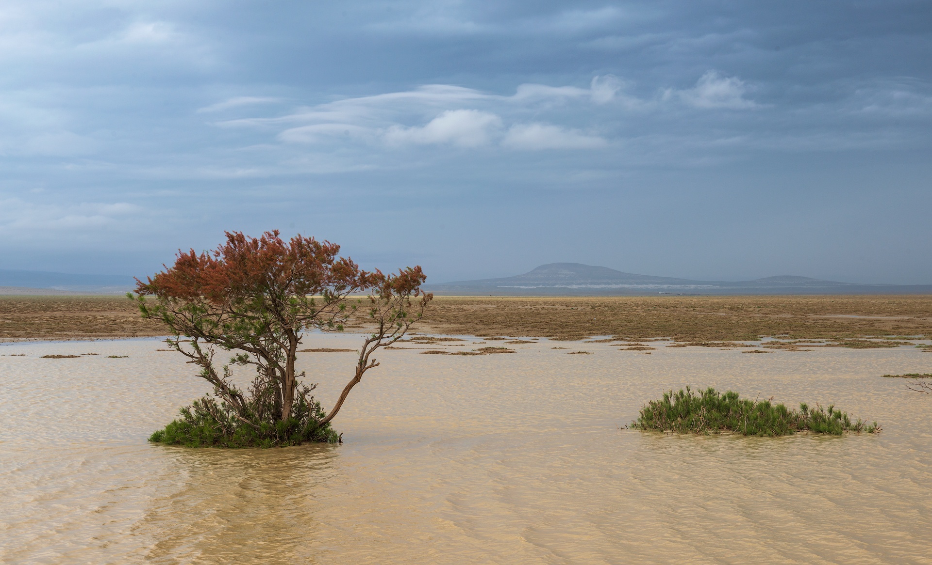 Фототур в Мангистау. Другая планета. (42/124)