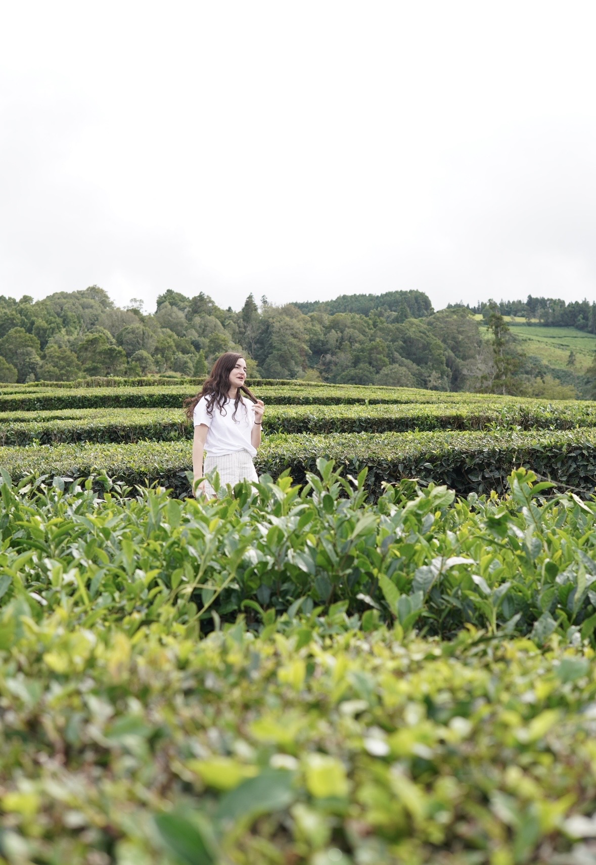 Автотур // Азорские острова (24/29)