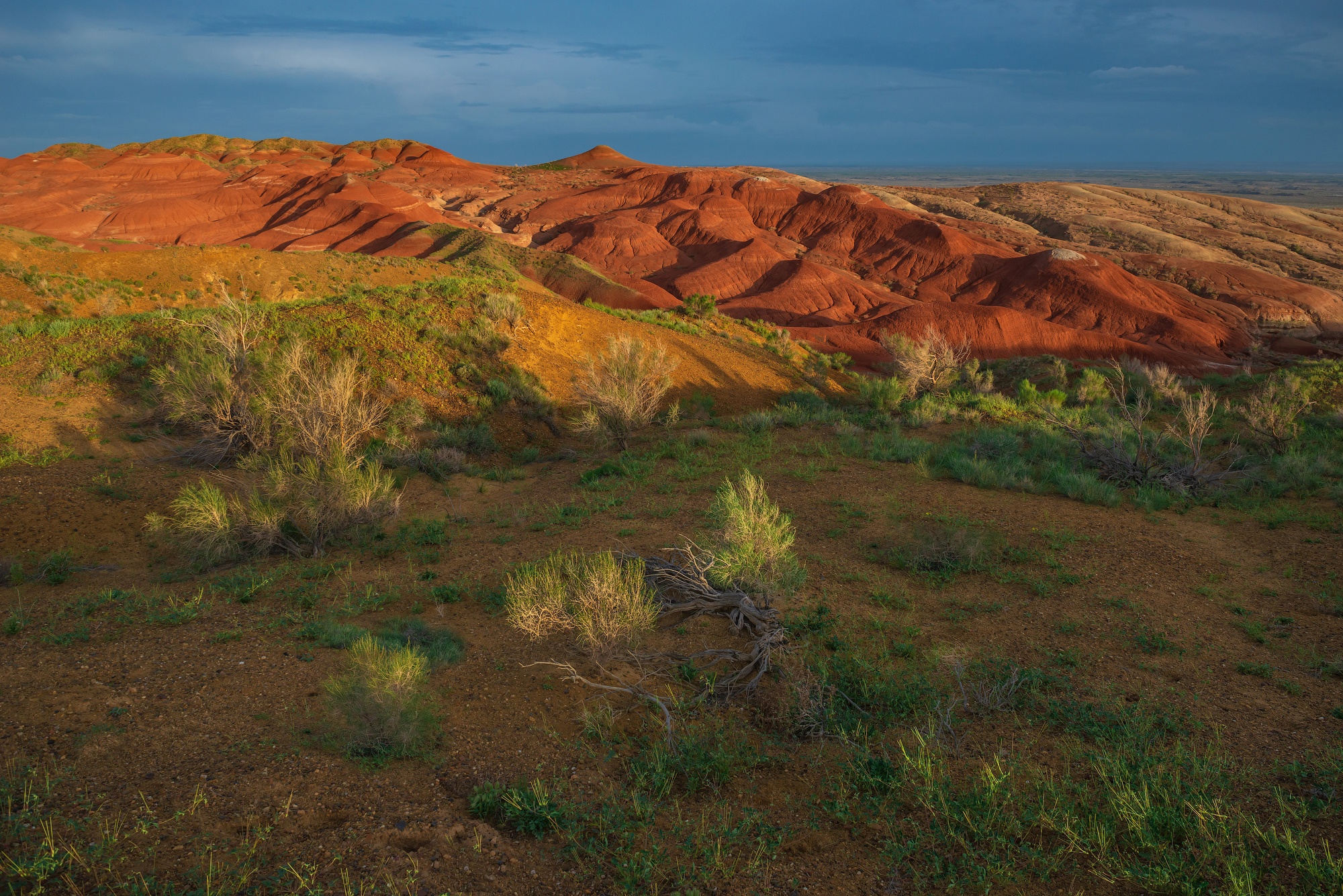 Фототур на Северный Тянь-Шань. Семиречье - жемчужина Казахстана. (16/126)