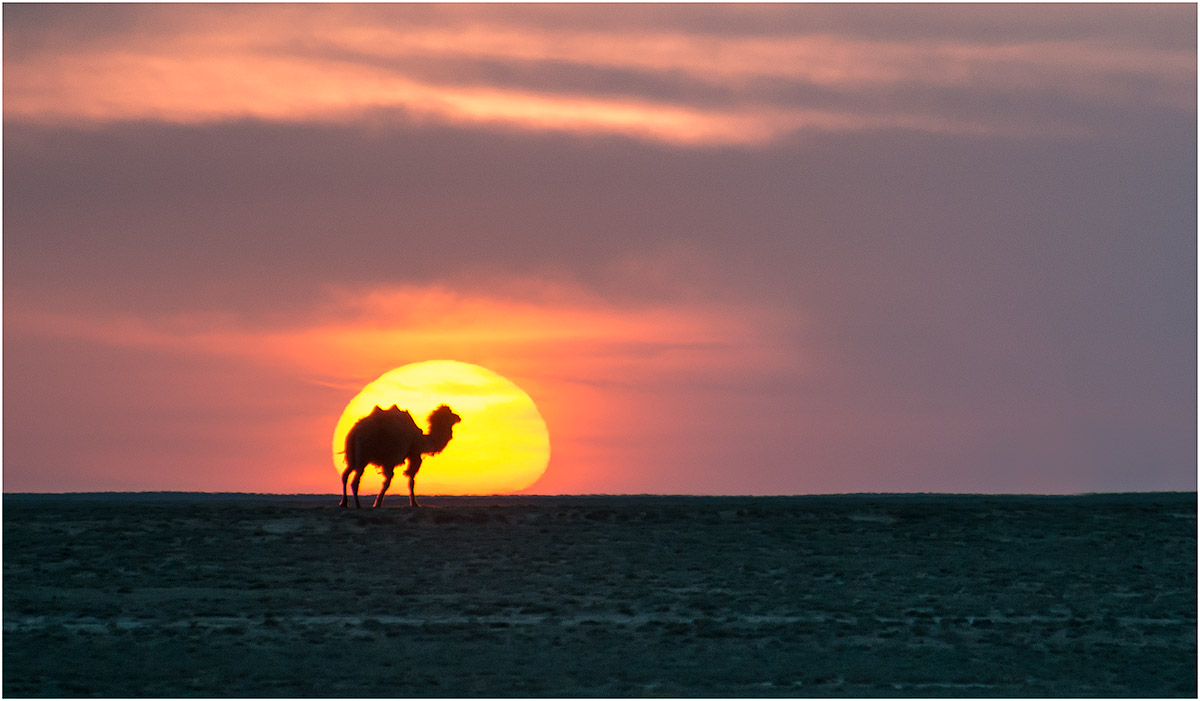 Фототур в Мангистау. Другая планета. (120/124)