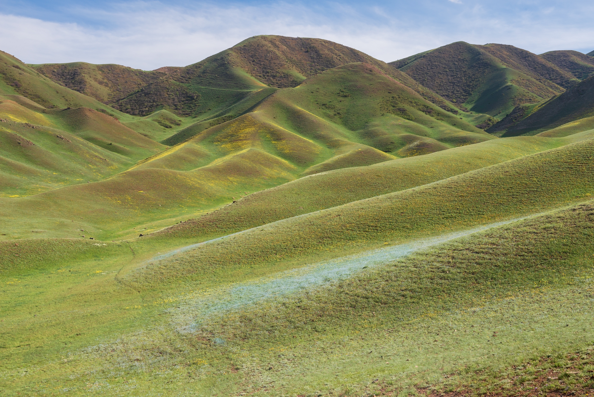Фототур на Северный Тянь-Шань. Семиречье - жемчужина Казахстана. (61/126)