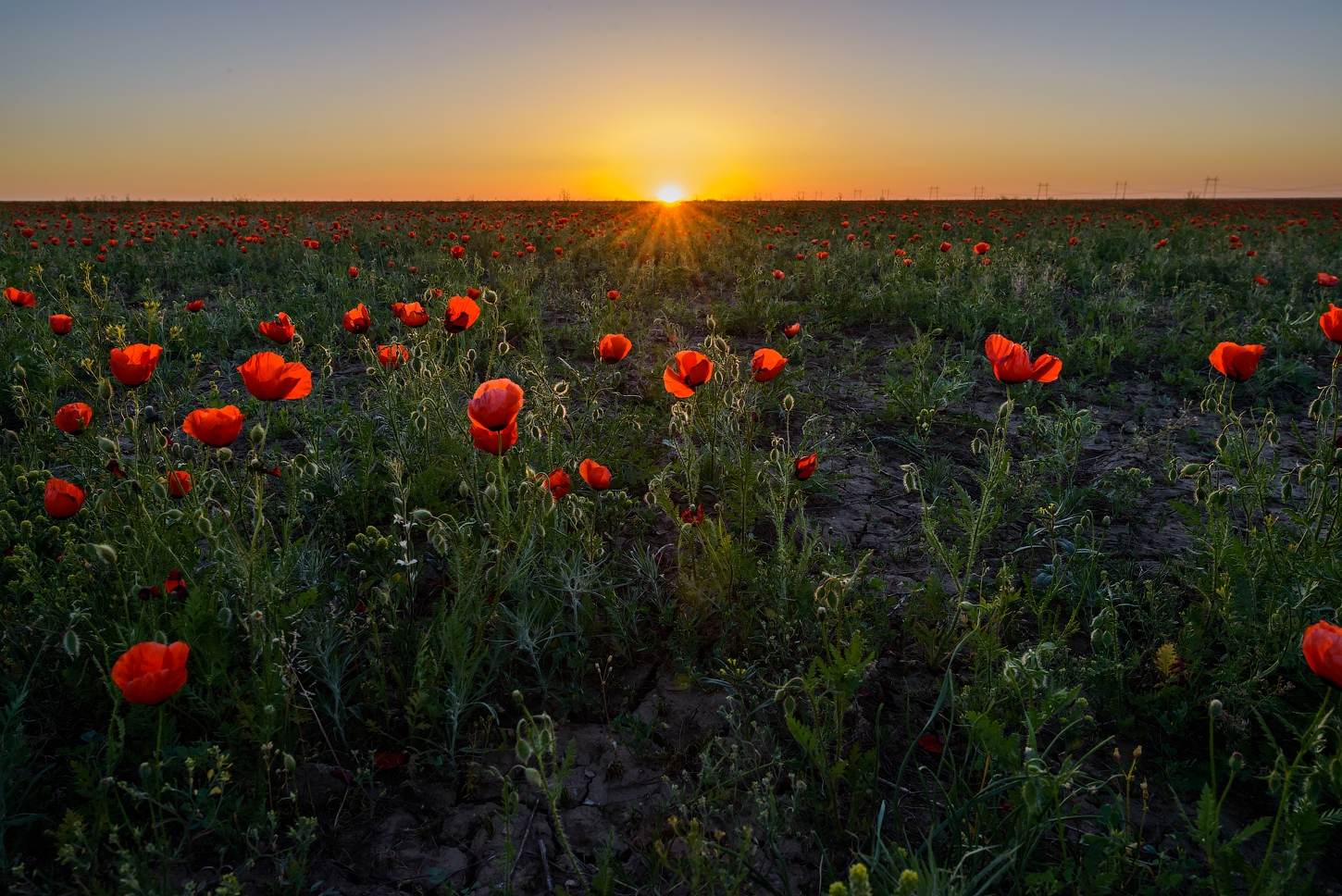 Фототур на Северный Тянь-Шань. Семиречье - жемчужина Казахстана. (64/126)