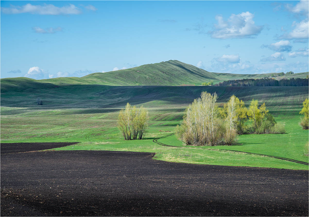 Фототур в Мангистау. Другая планета. (85/124)